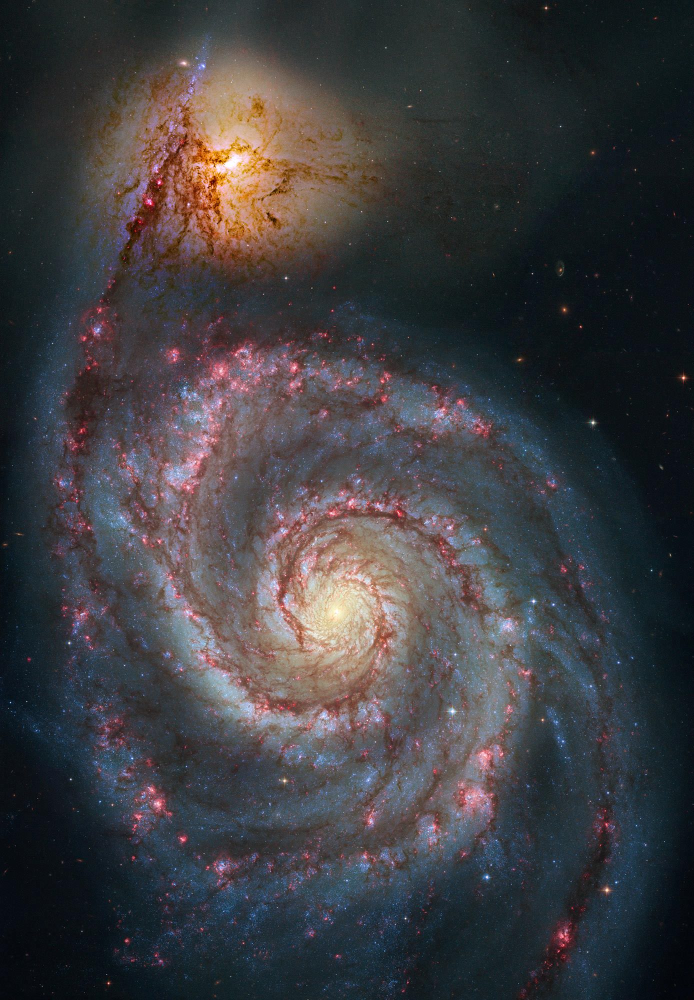 Supernova Discovered in M51 The Whirlpool Galaxy - Universe Today