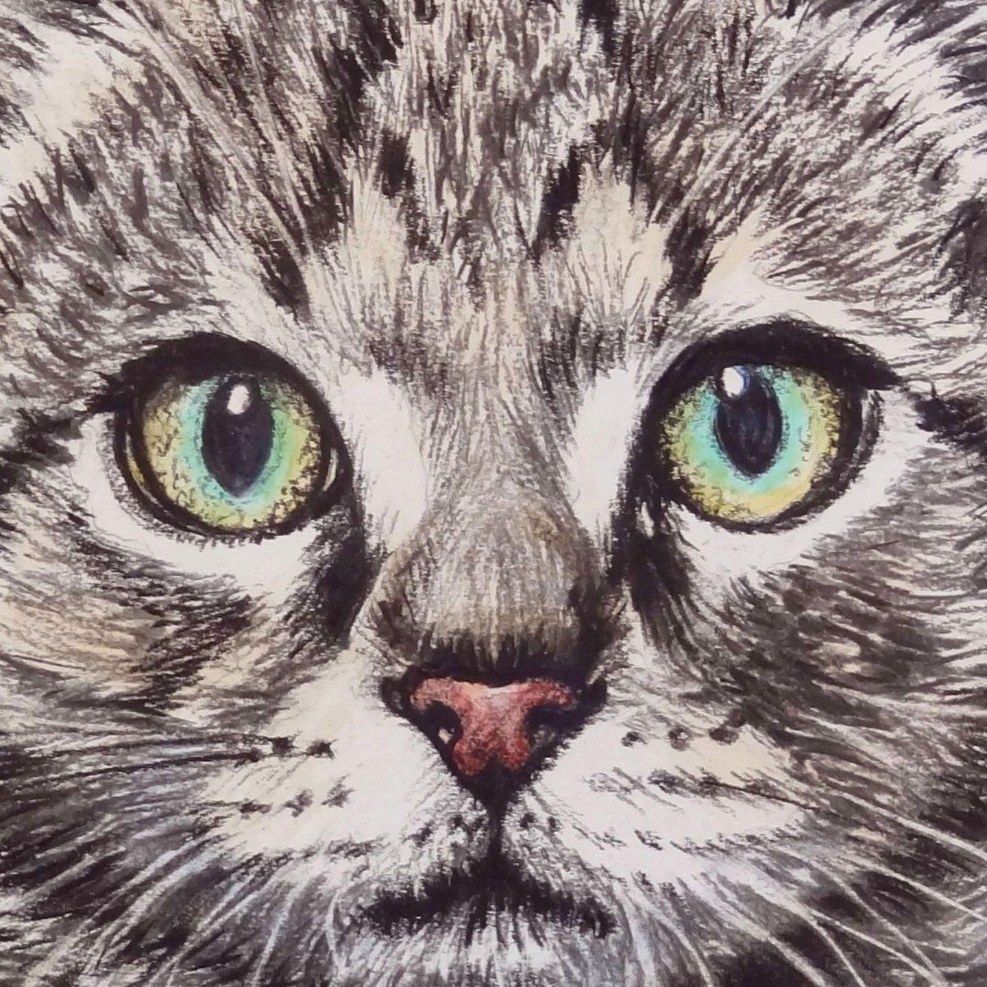 Whiskers Canvas – Lex McFadyen Art