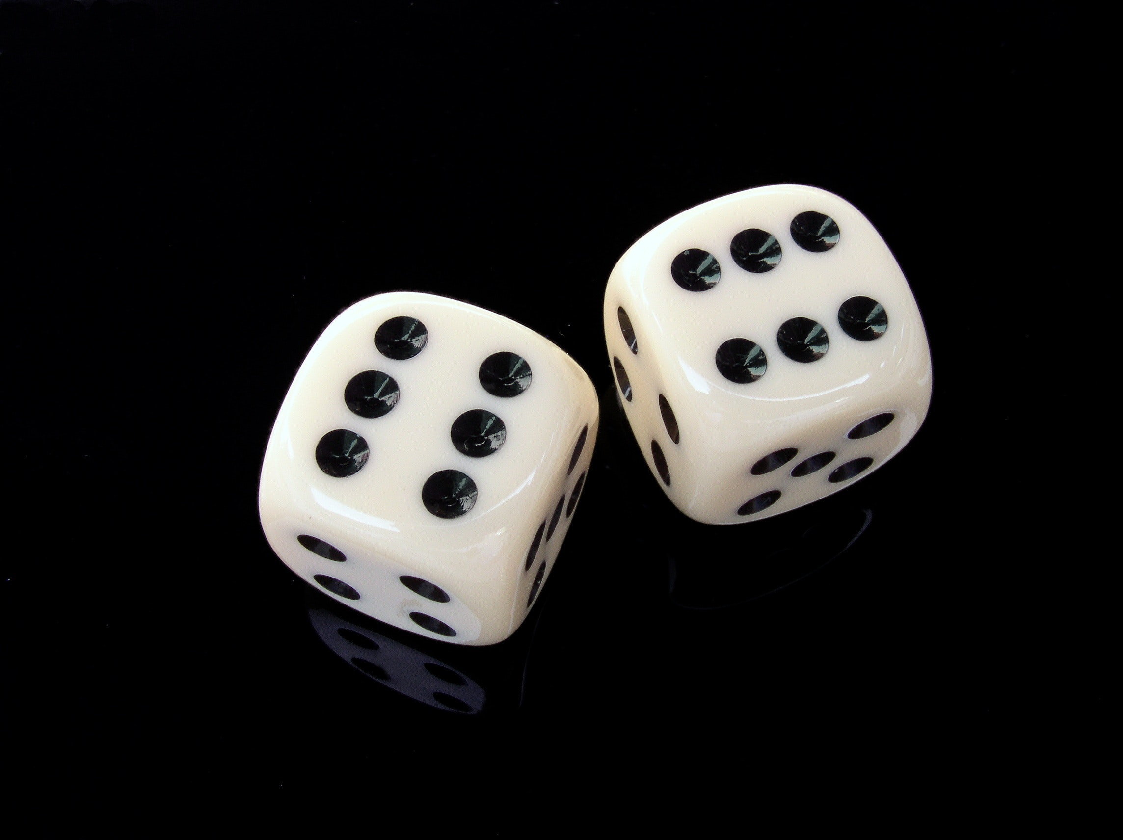 White and black dice photo