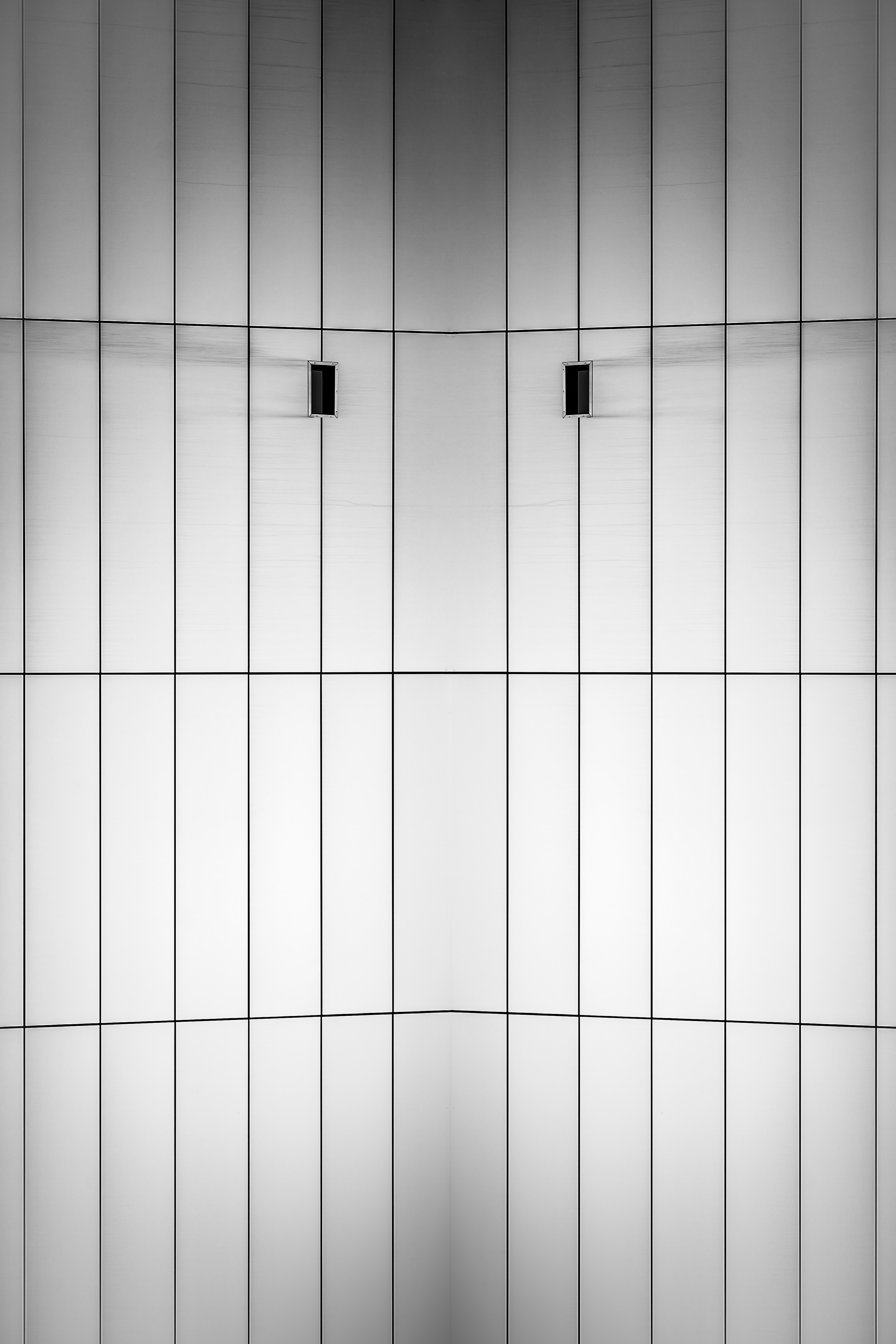White and black grid photo
