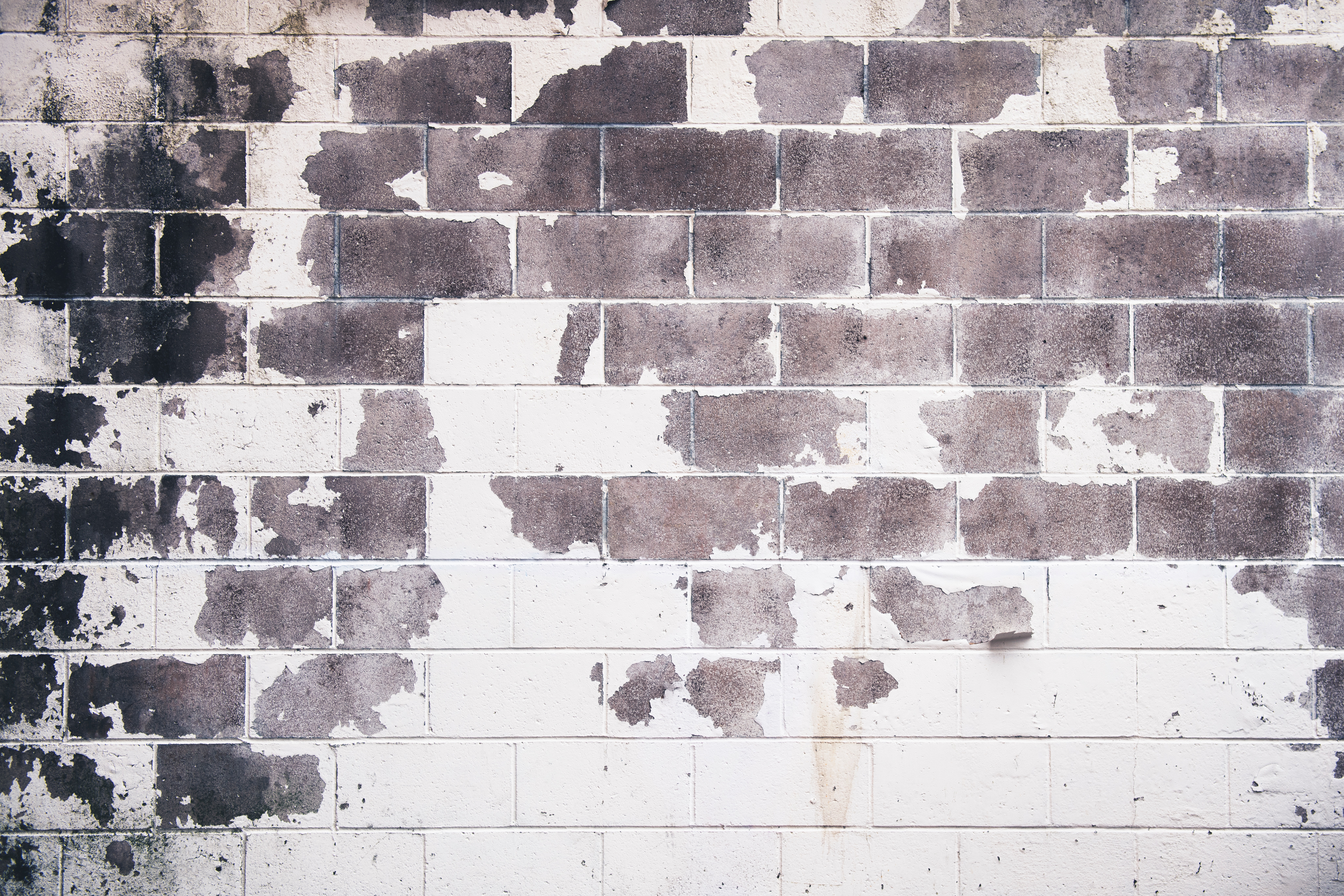 White and gray concrete brick wall photo