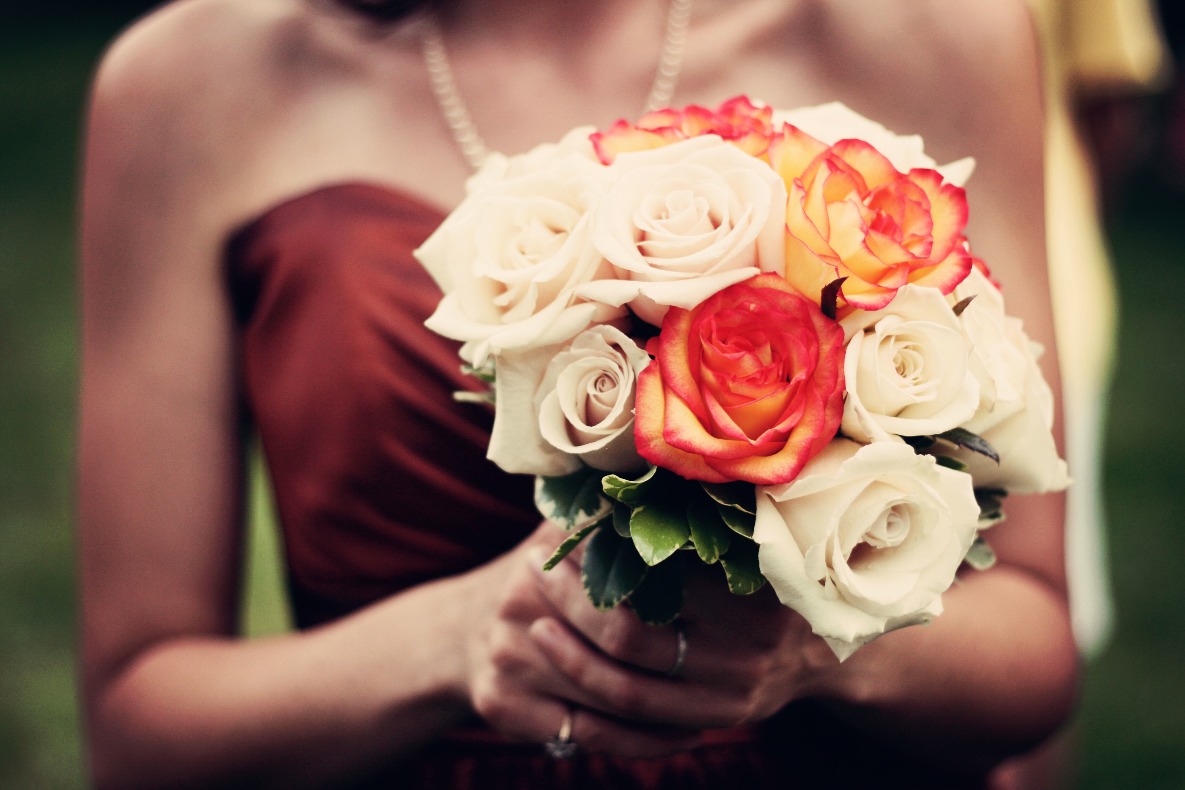 White and Red Roses, Bride, Bridesmaid, Dress, Flower, HQ Photo