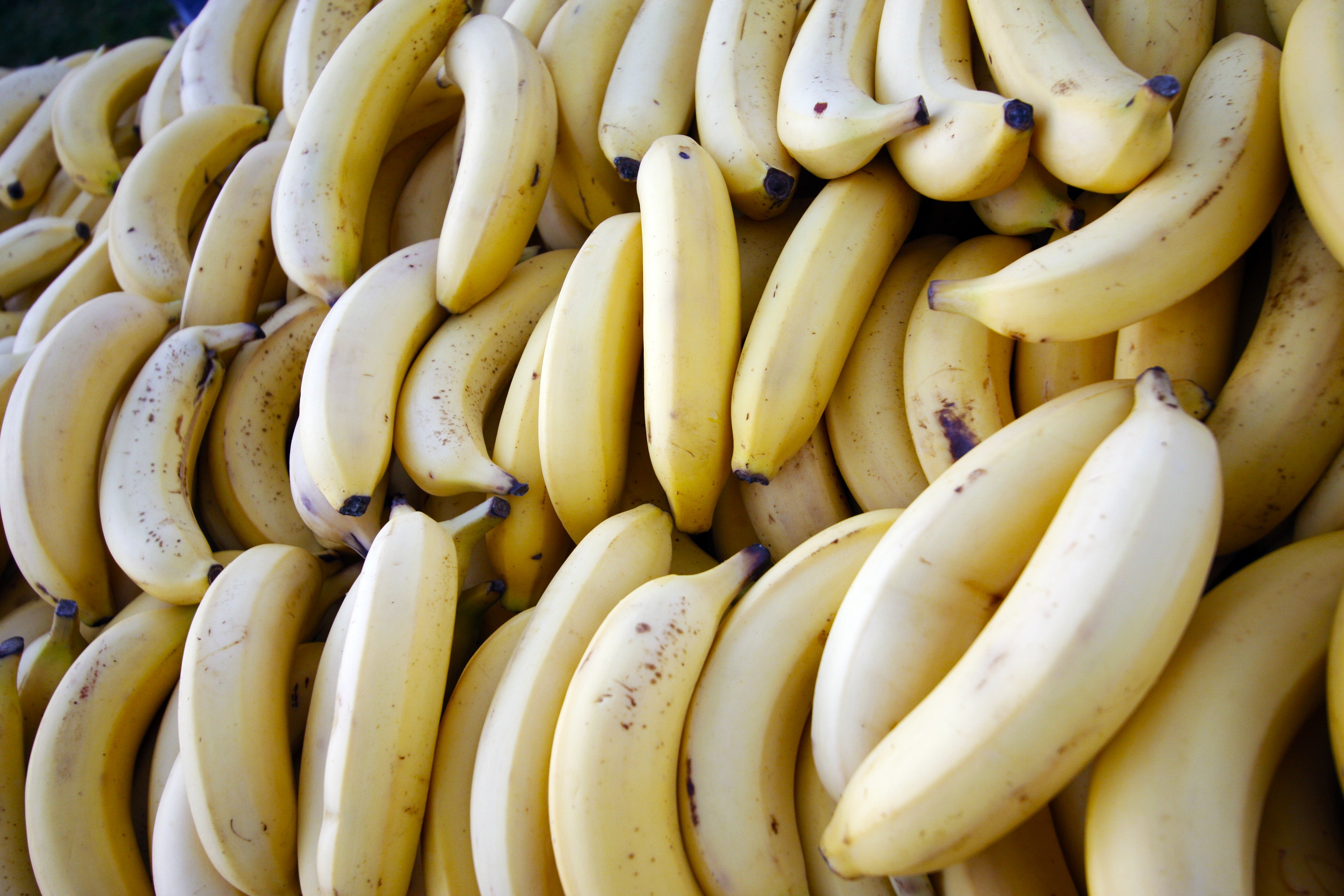 White bananas photo