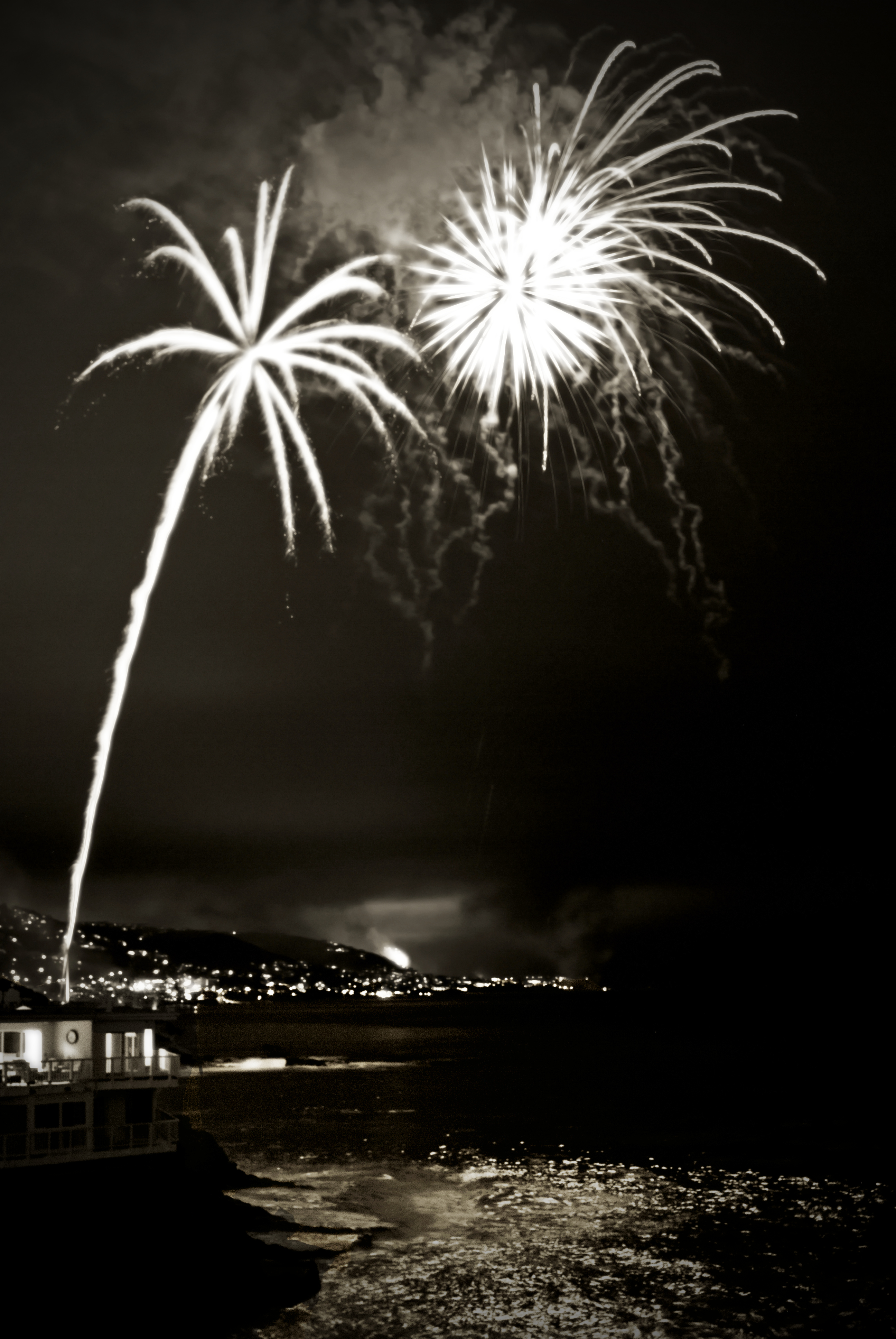 A Fireworks Tree Looming over the Beach | My Camera Journal