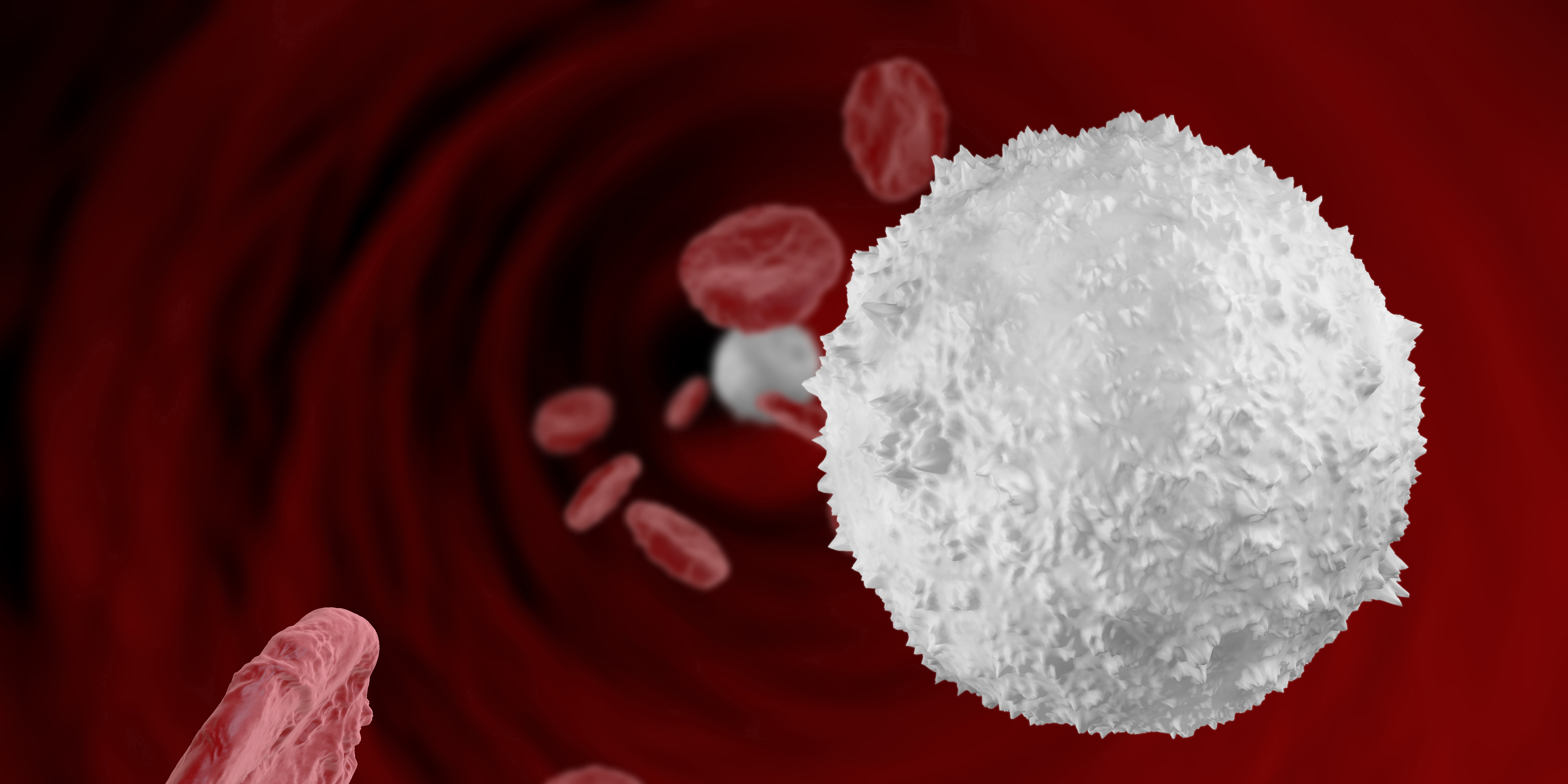 The power of white blood cells | Medfit