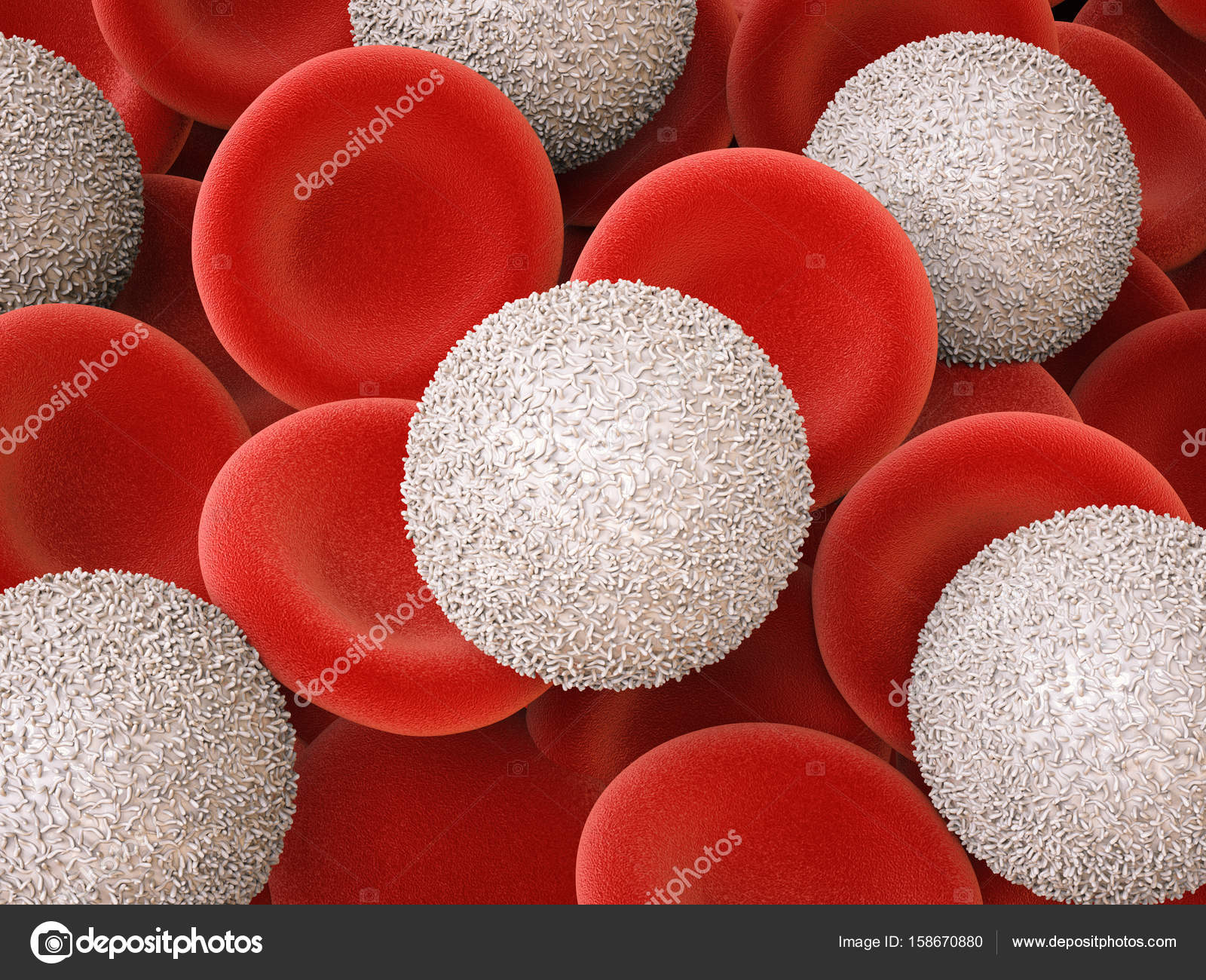 white blood cells with red blood cells — Stock Photo © phonlamai ...