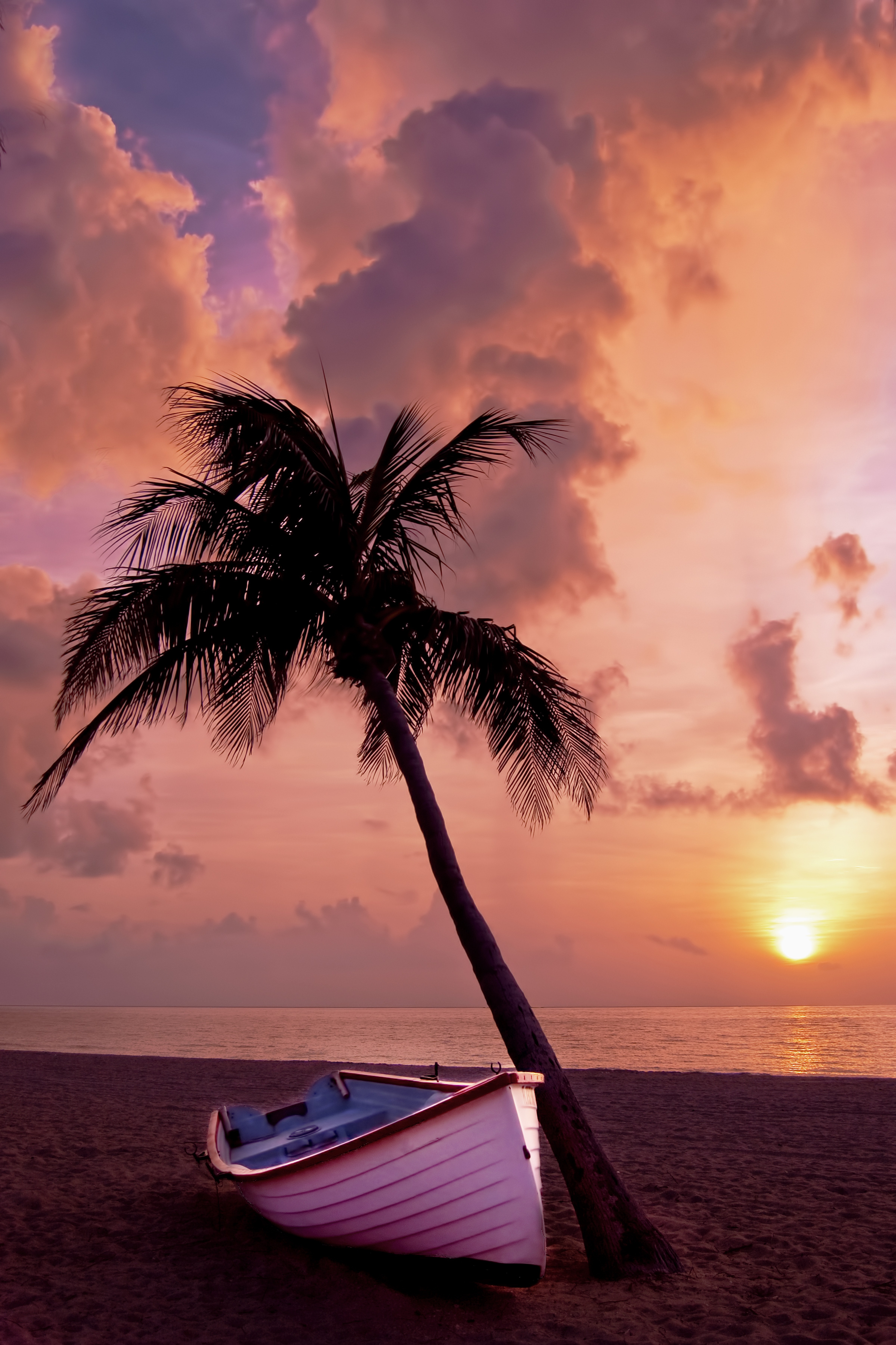 White Boat Beside Tree Under Orange Sky during Sunset, Beach, Seascape, Sunset, Sunrise, HQ Photo