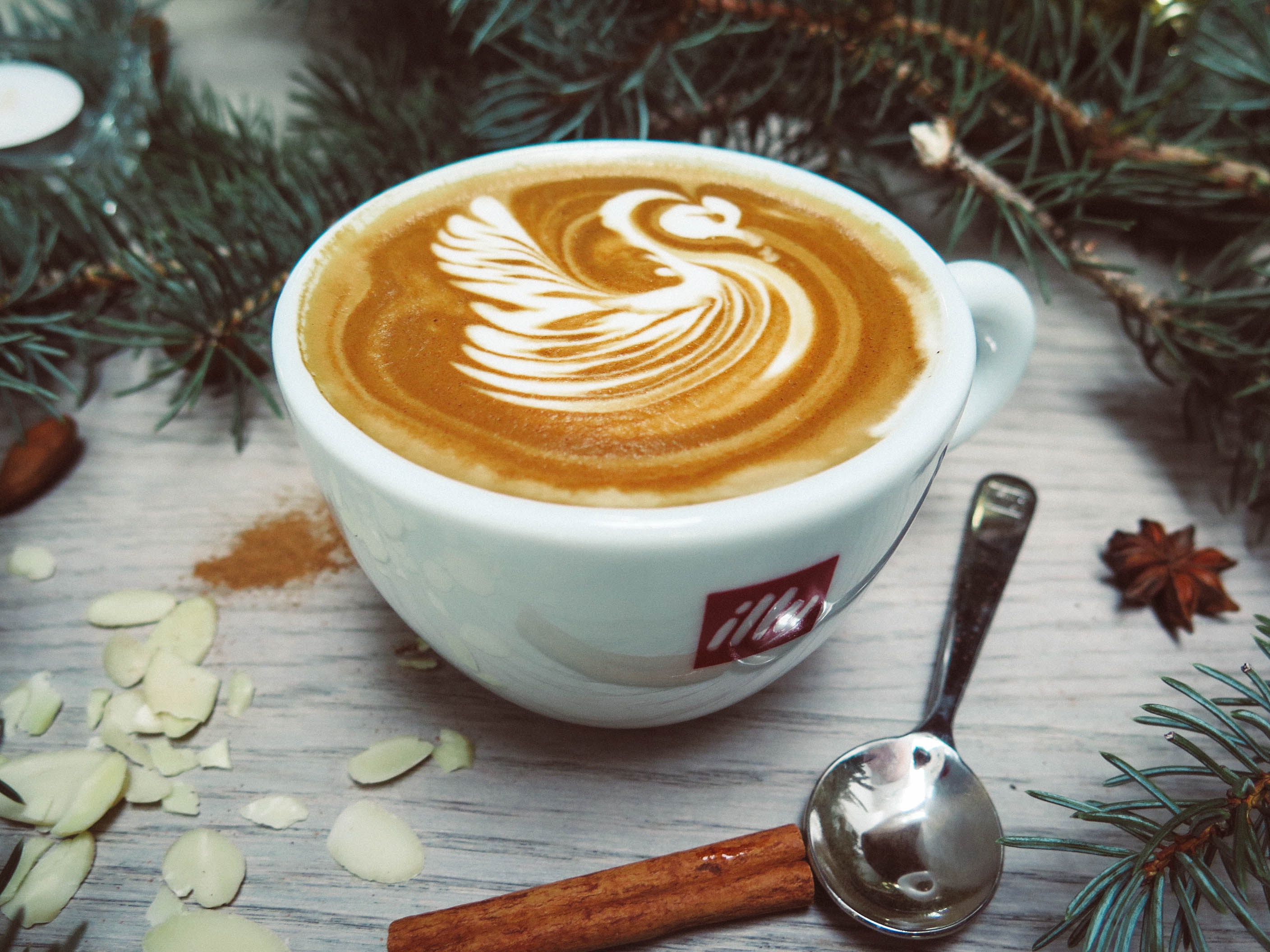 White cappuccino with swan cream design photo
