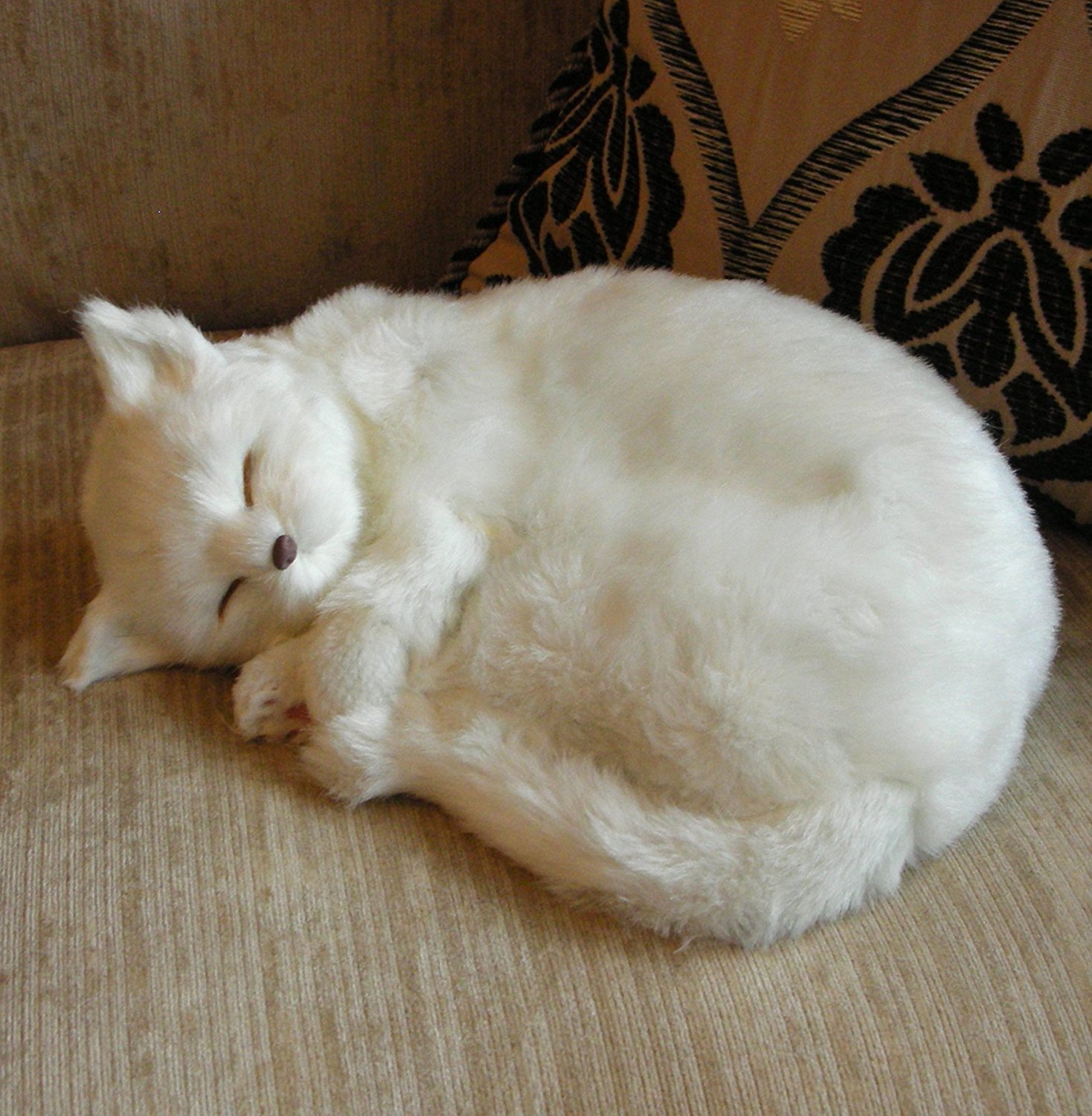 Angel | Realistic Sleeping Life Size White Cat | Faux Fur Plush ...