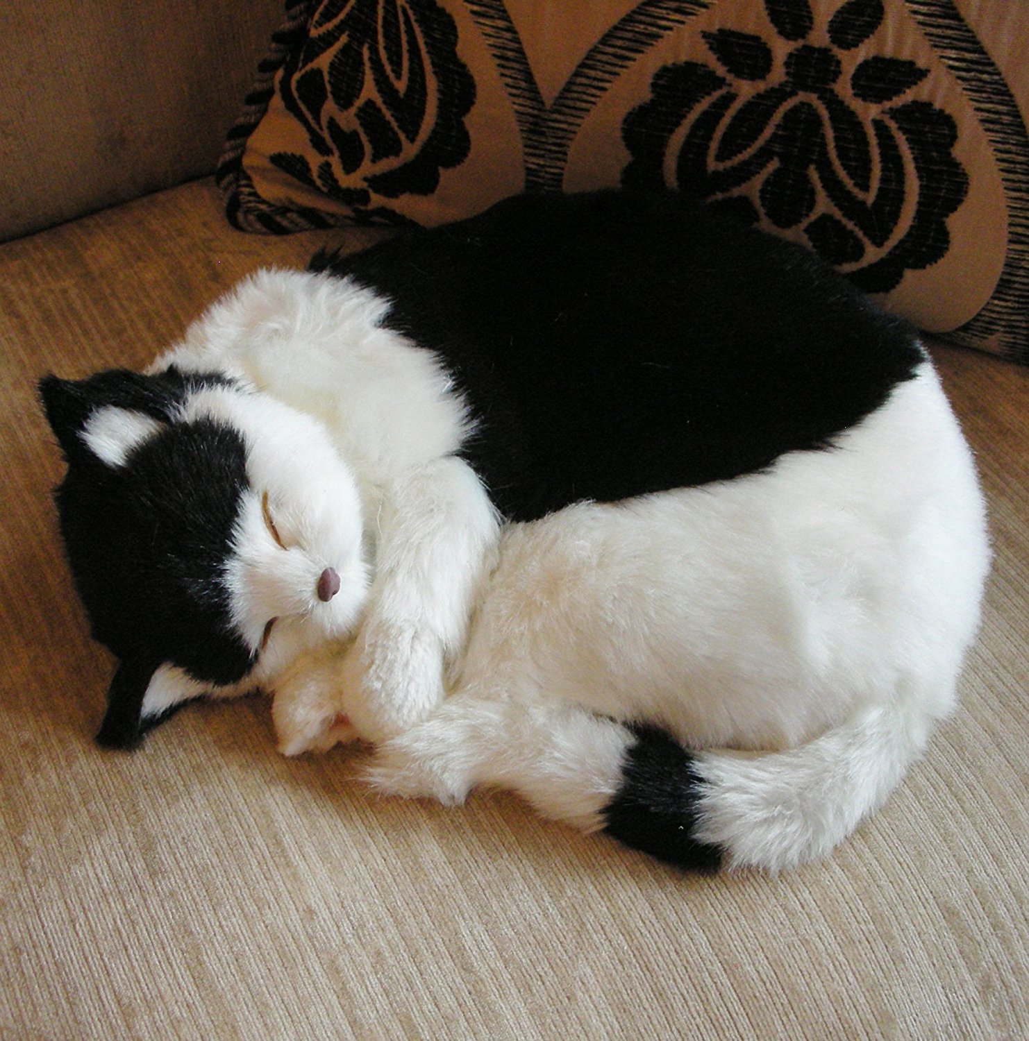 Tippy | Realistic Sleeping Life Size Black & White Cat | Faux Plush ...