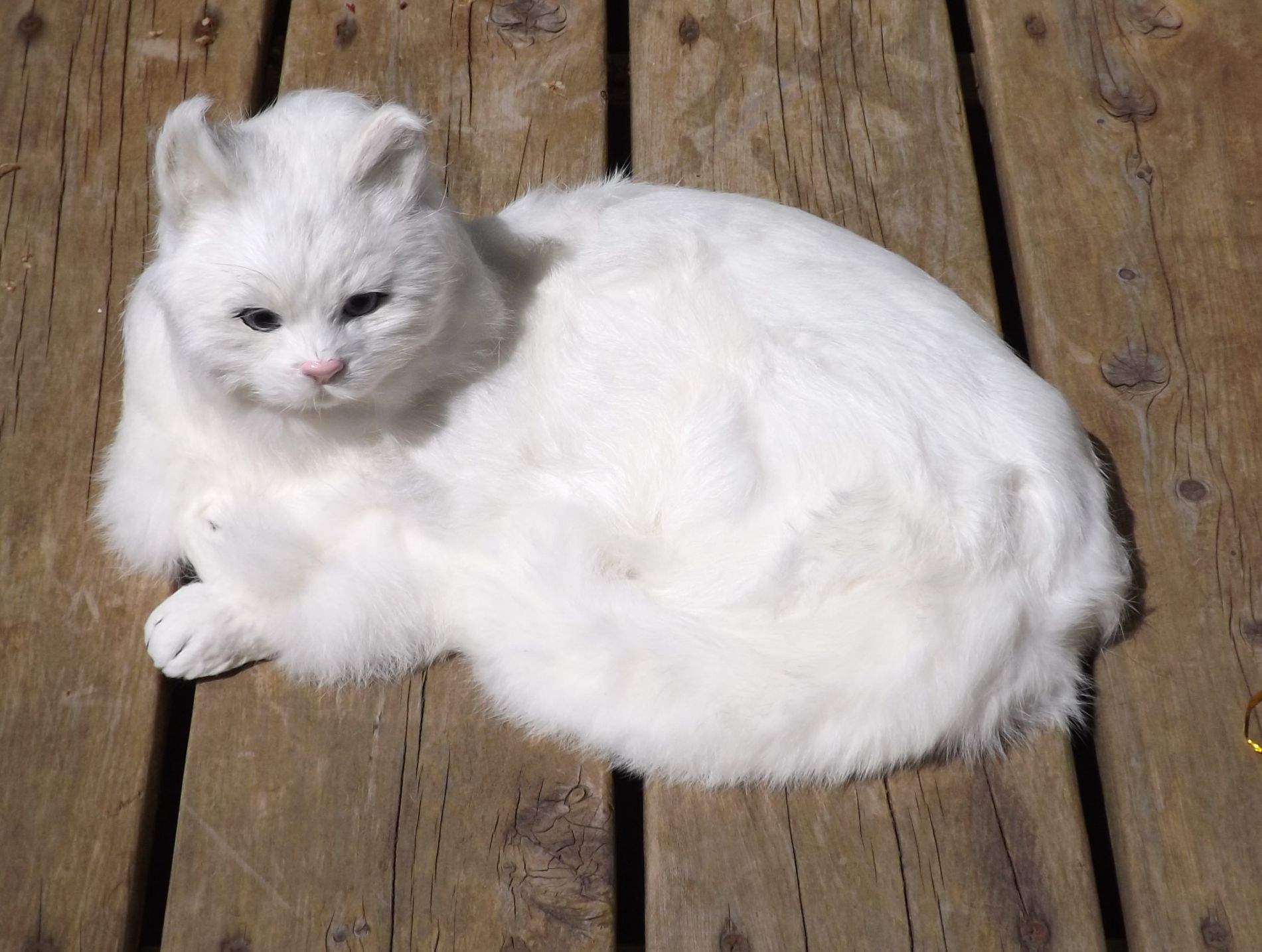 Life-Like Stuffed Cat – 13″ Realistic Lying Cat – White |