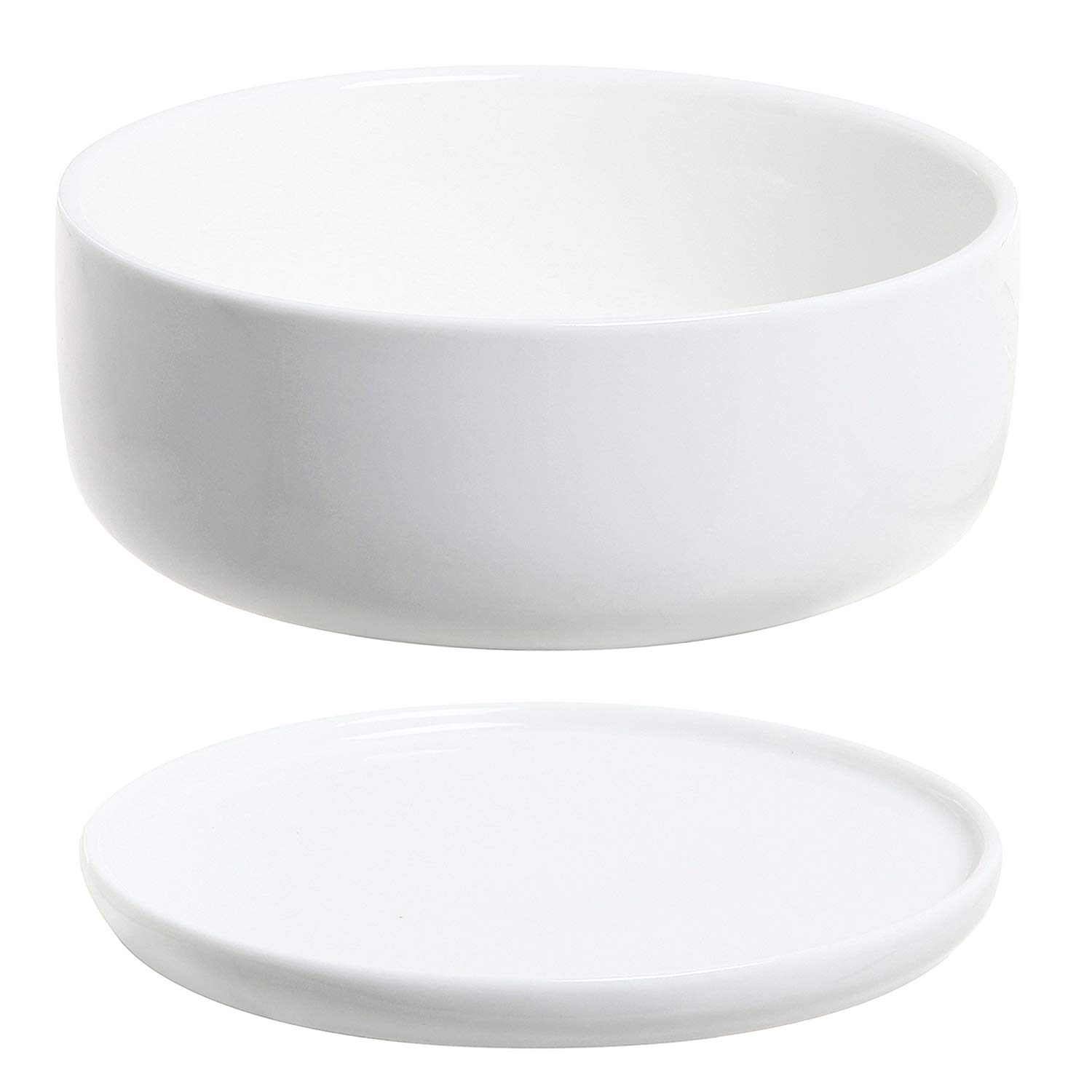 Amazon.com: 6 inch Modern White Ceramic Round Designer Succulent ...