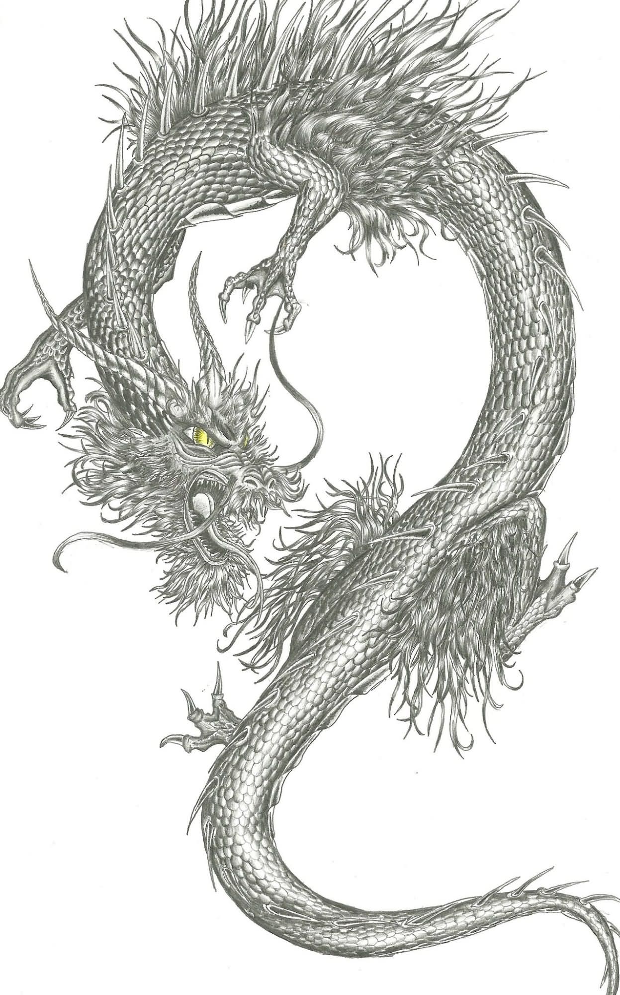 Awesome Black And Grey Chinese Dragon Tattoo Design