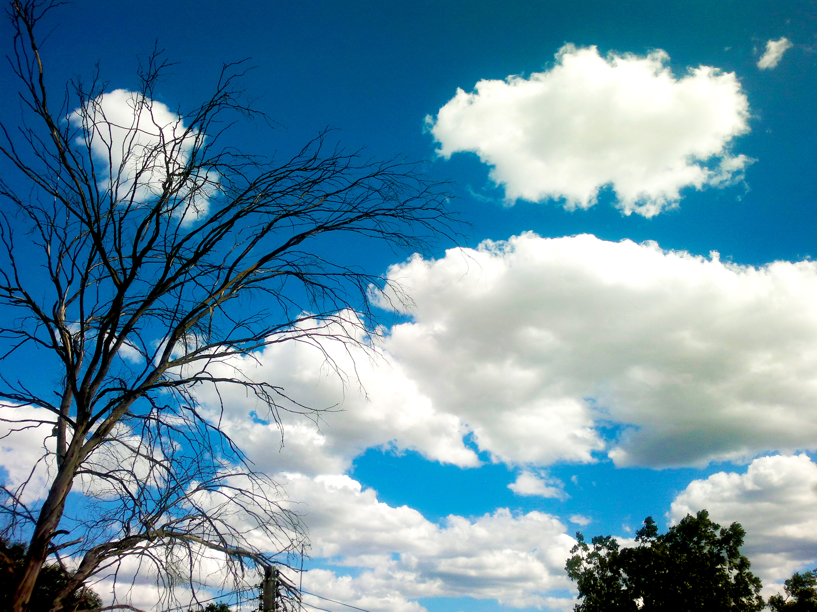White clouds in a blue sky photo