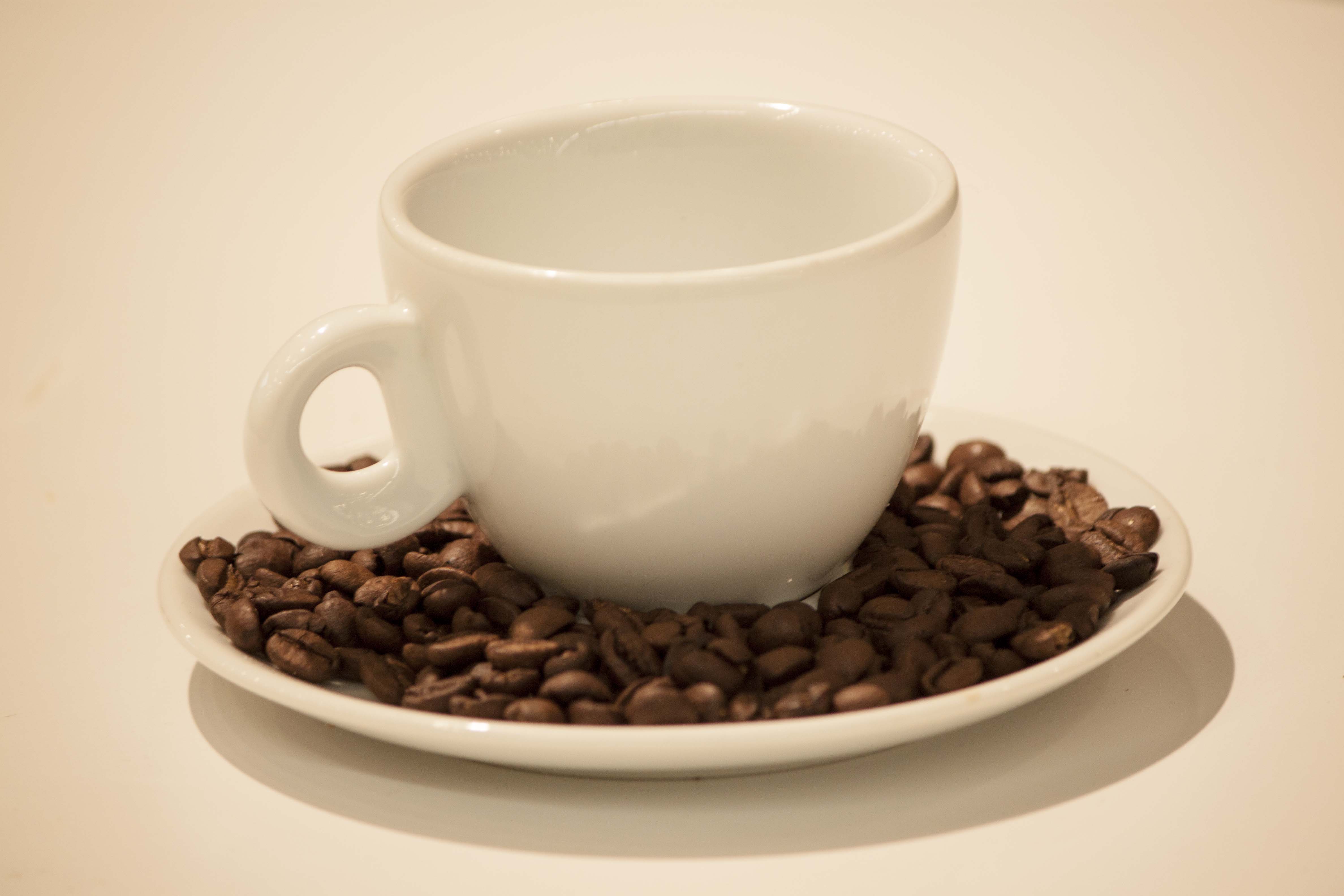 White coffee cup with beans photo