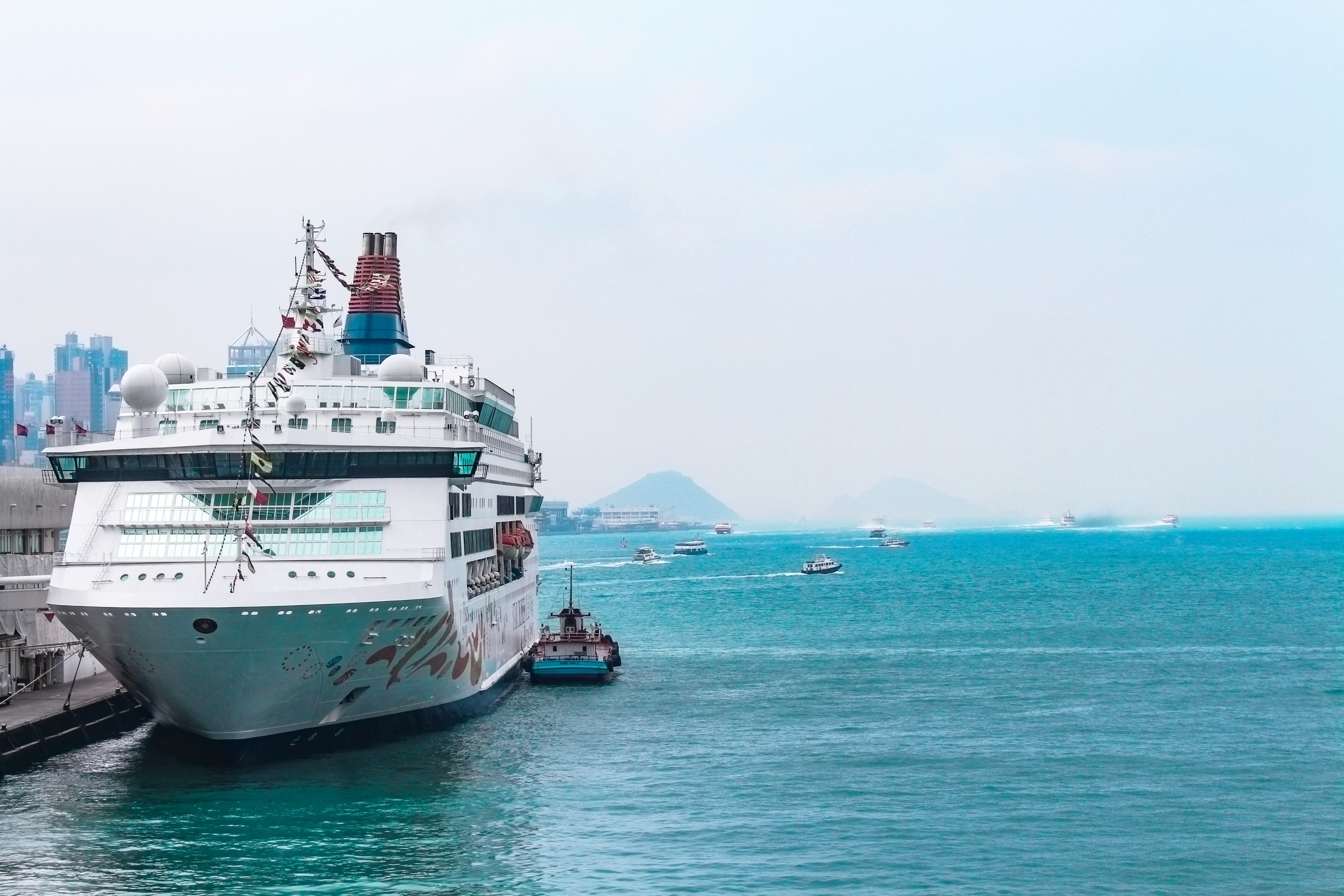 White cruise ship docking in port photo