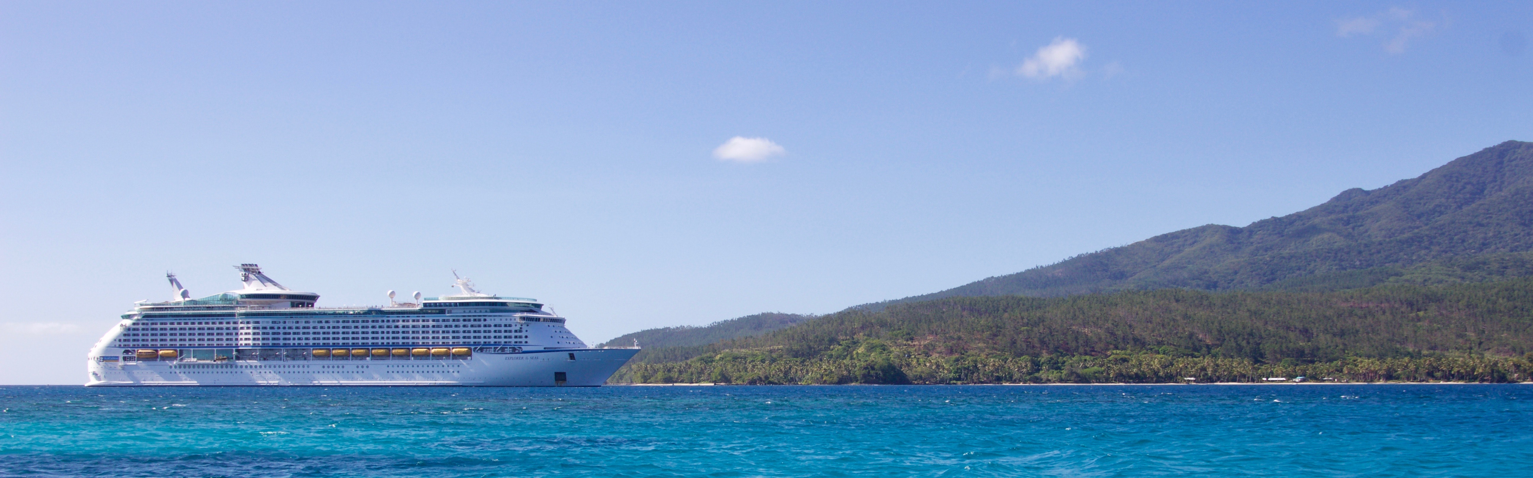 White cruise ship near island photo