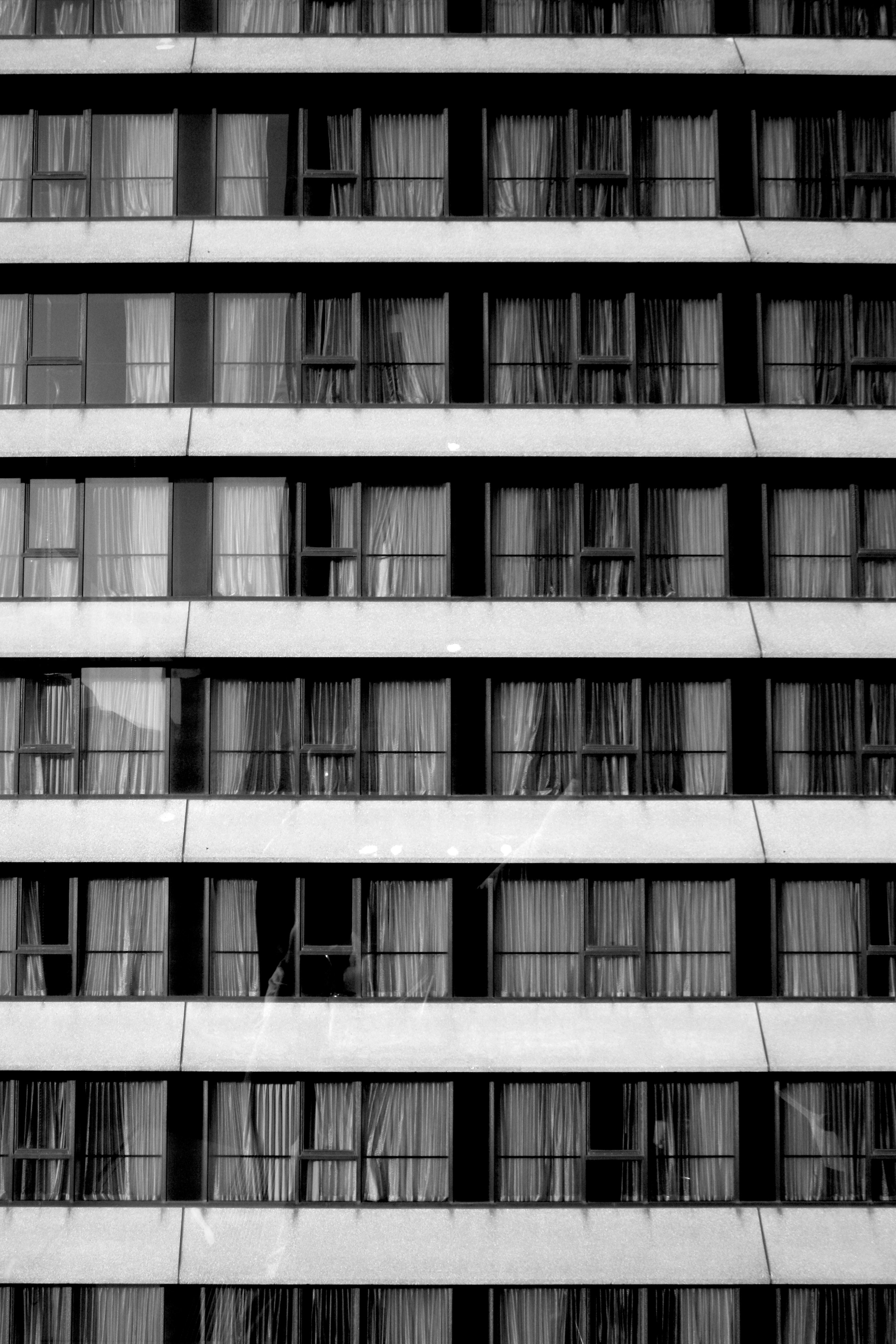 White curtains on window photo