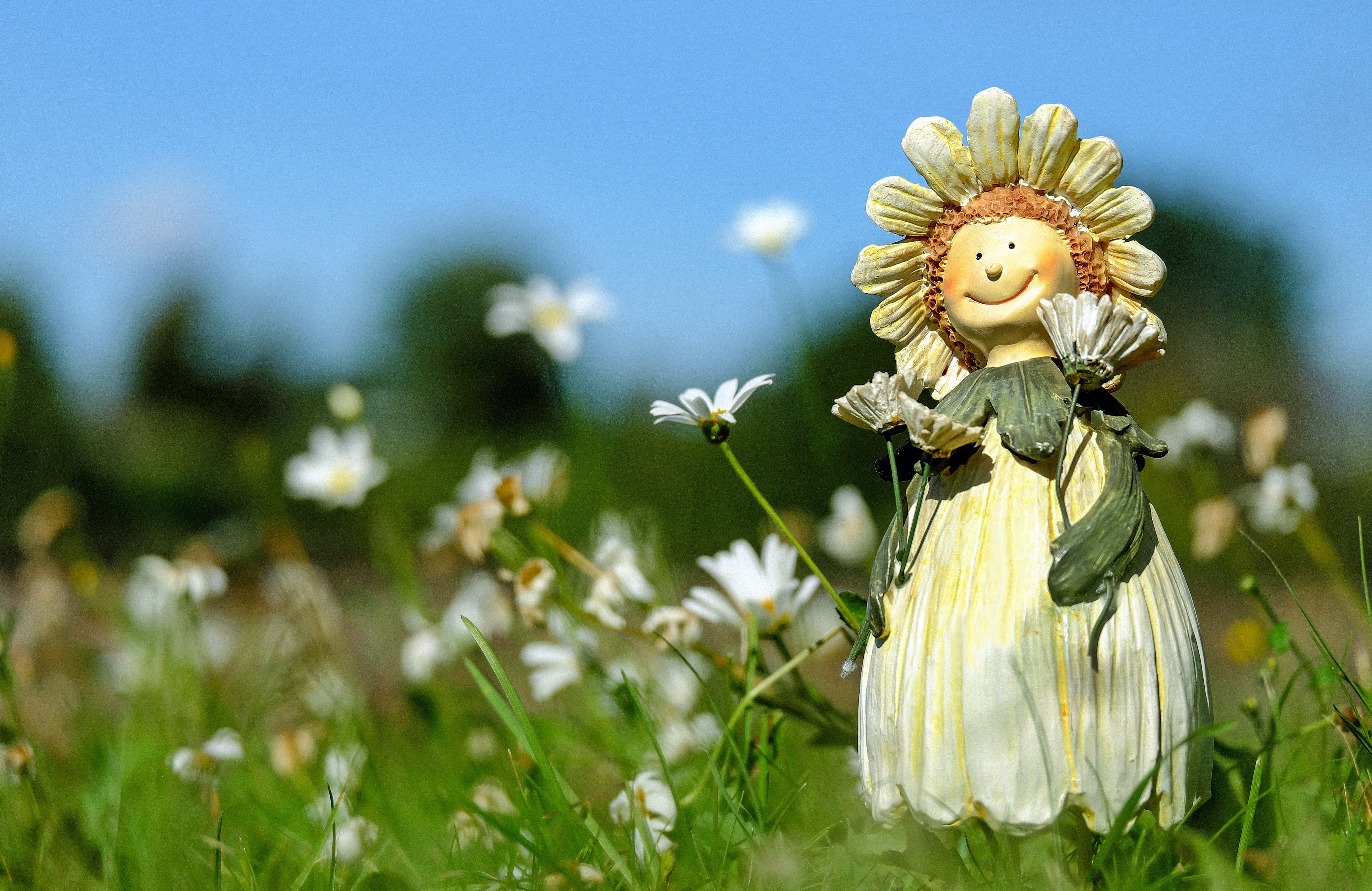 White daisy flower field with plush toy during daytime photo
