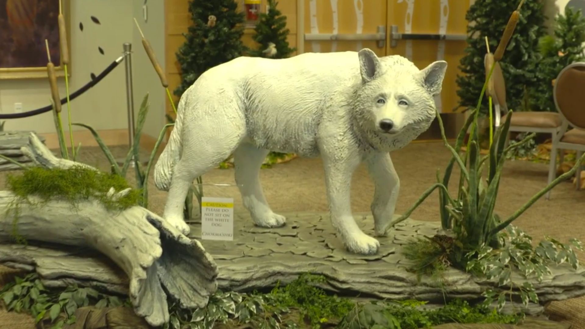 March 1, 2016 – Ofi Tohbi (White Dog) Exhibit | Chickasaw.tv