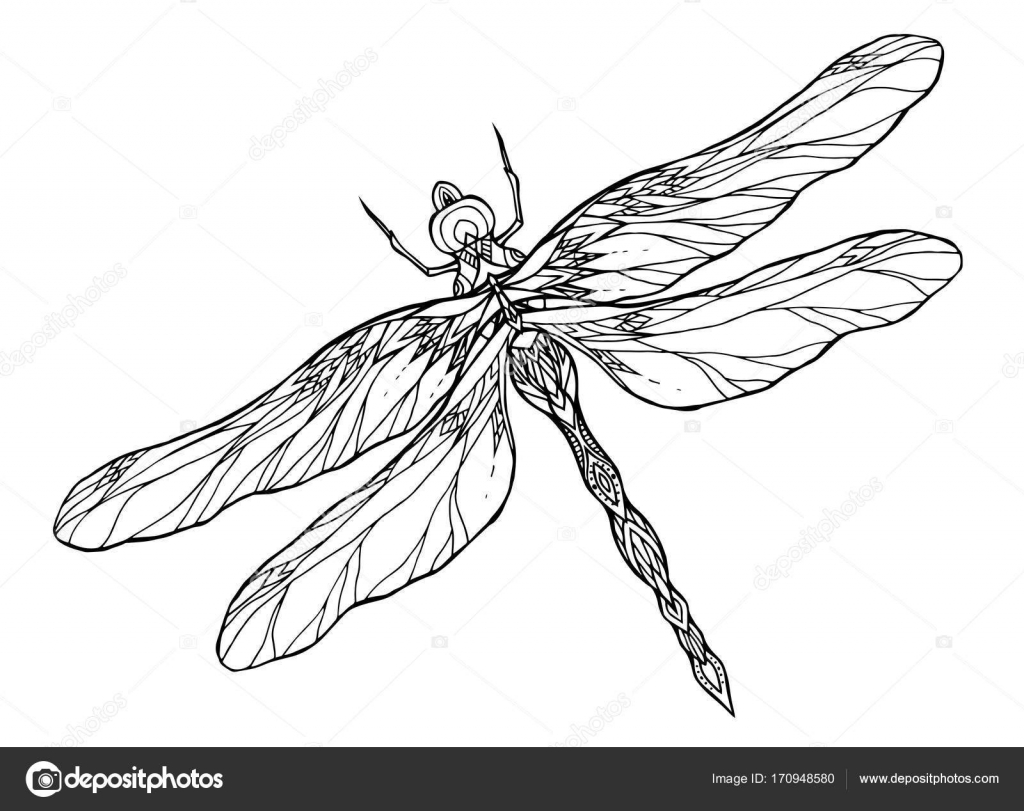 Black and white dragonfly — Stock Vector © veleri #170948580