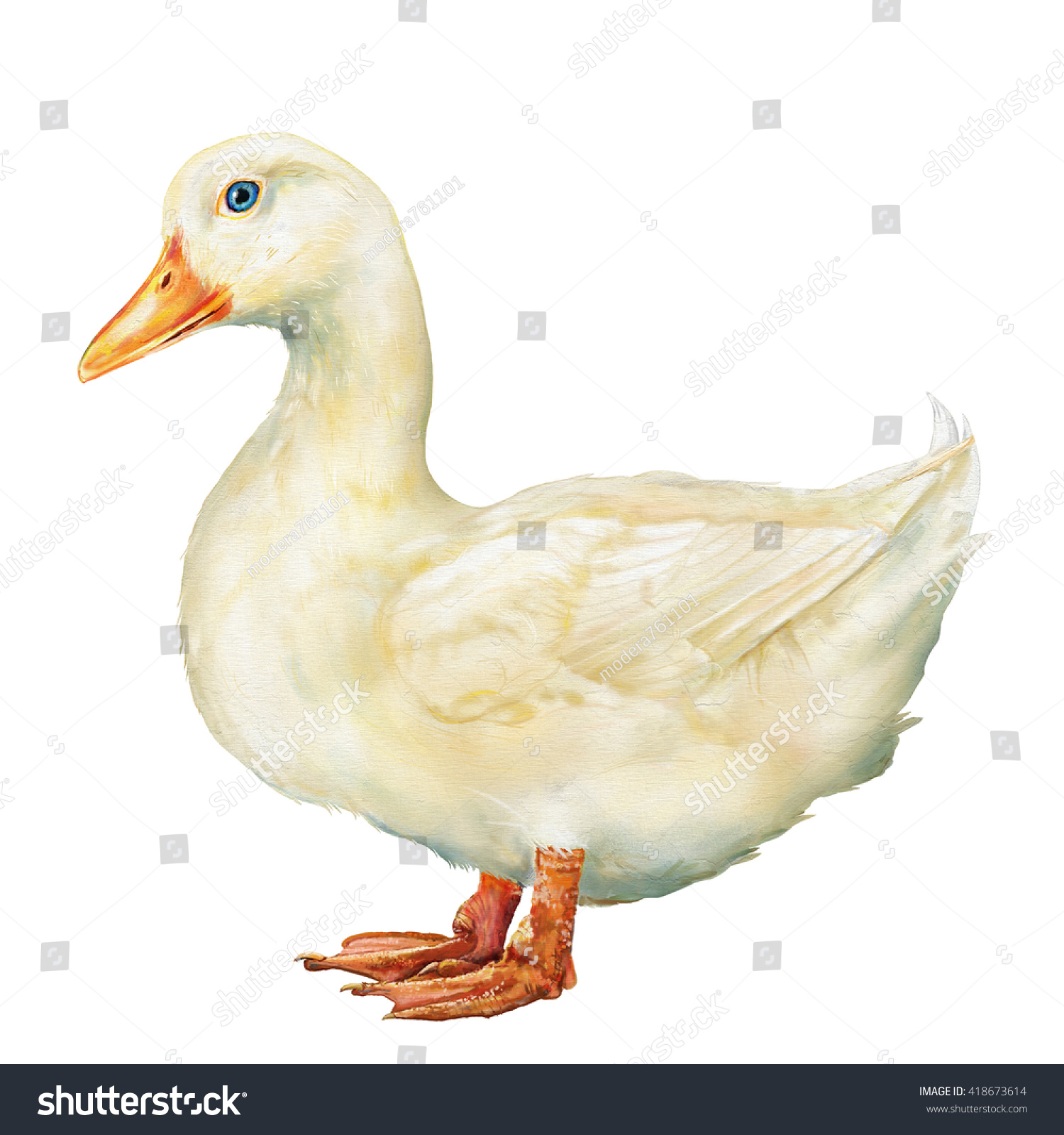 White Duck Digital Painting White Duck Stock Illustration 418673614 ...