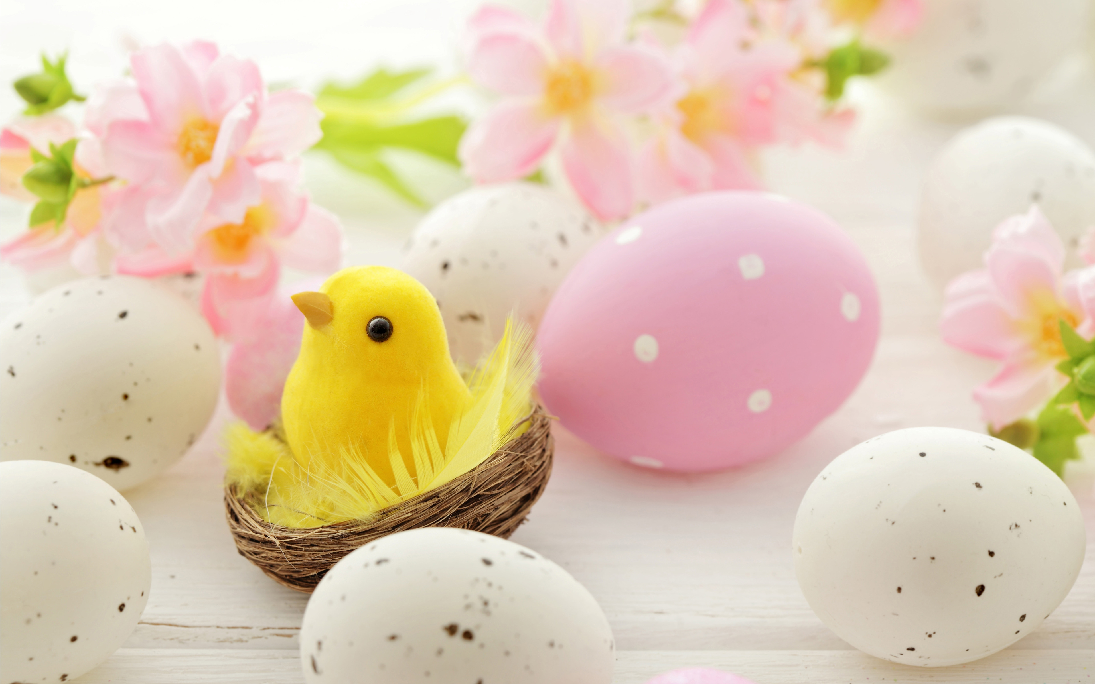 Pink and White Easter eggs, Cute Chick in Nest, Spring Flowers ...