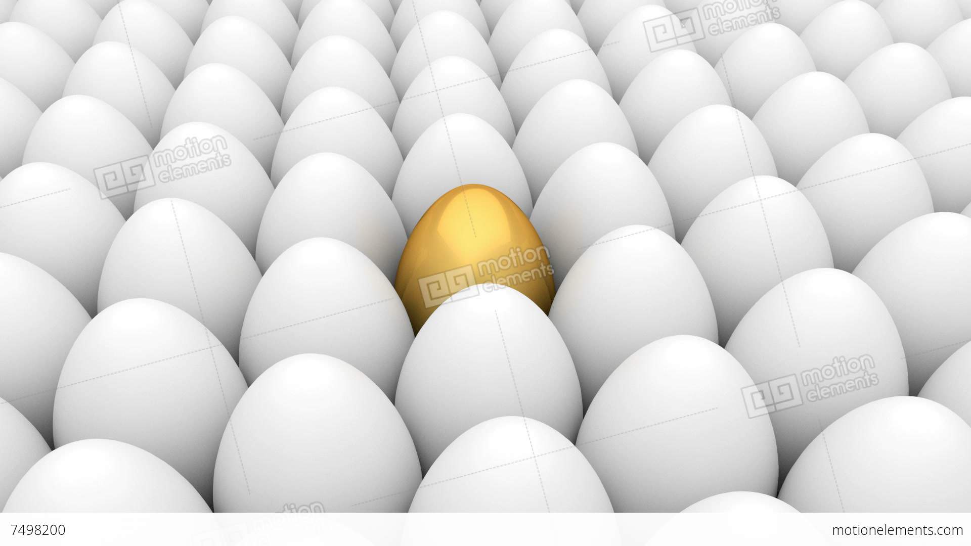 Golden Egg And White Eggs Stock Animation | 7498200