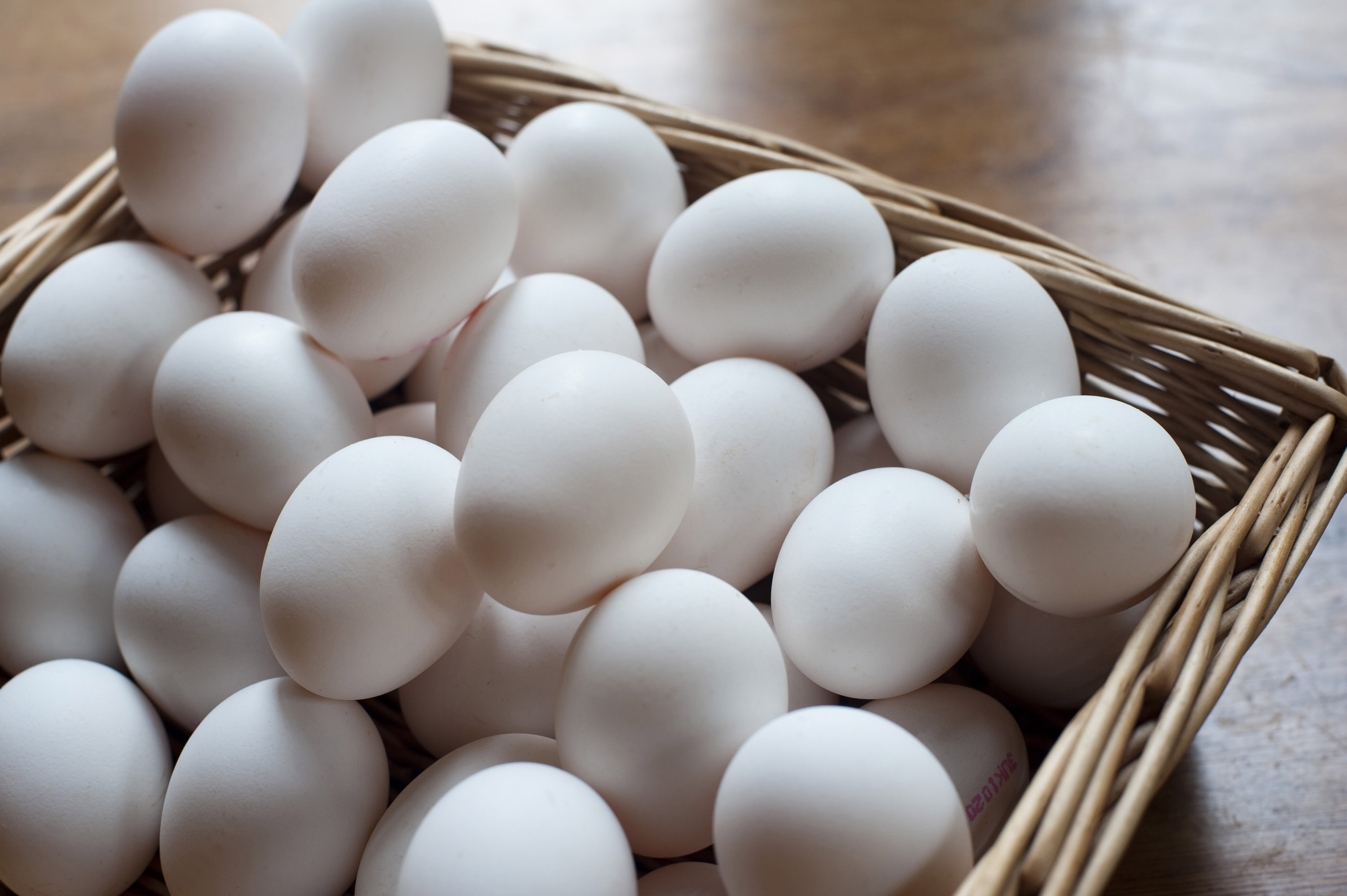 Free Stock Photo 8477 Basket of white chicken eggs | freeimageslive