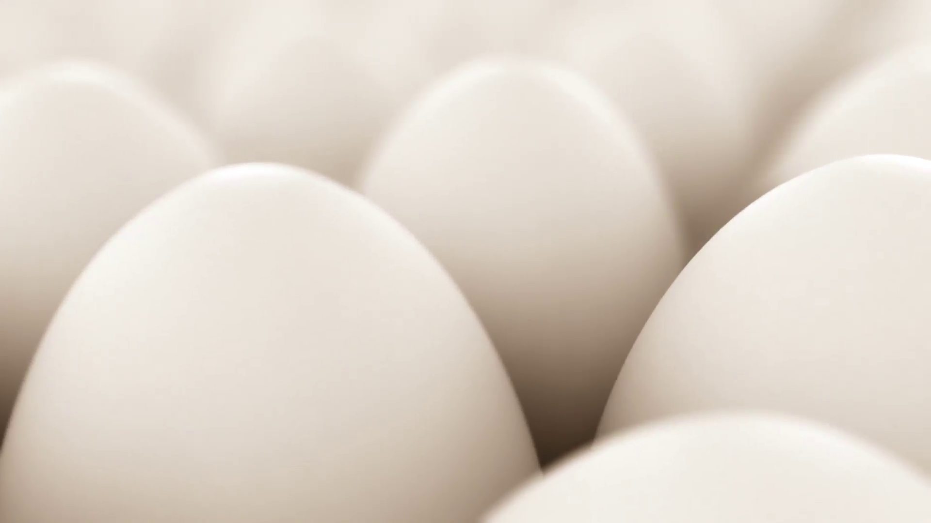 White eggs loopable. Stock Video Footage - VideoBlocks