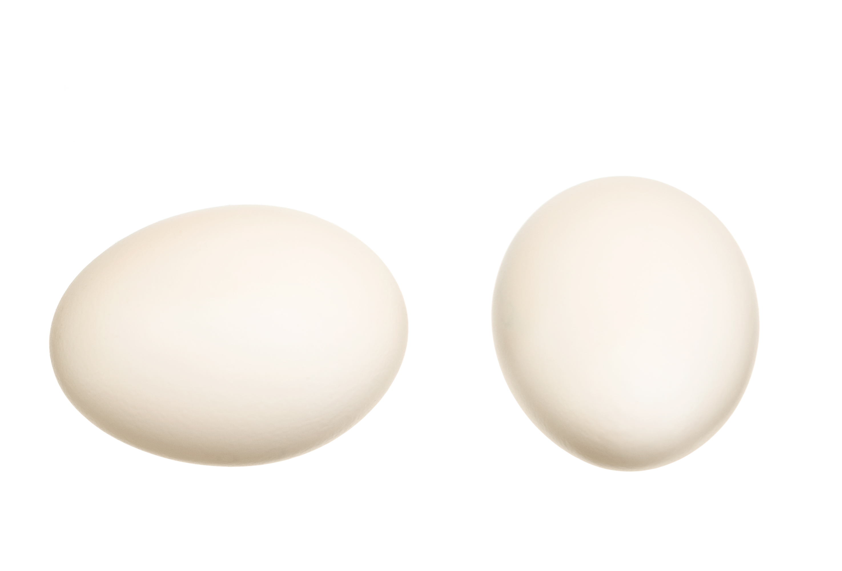 White eggs, Breakfast, Shape, Raw, Protein, HQ Photo