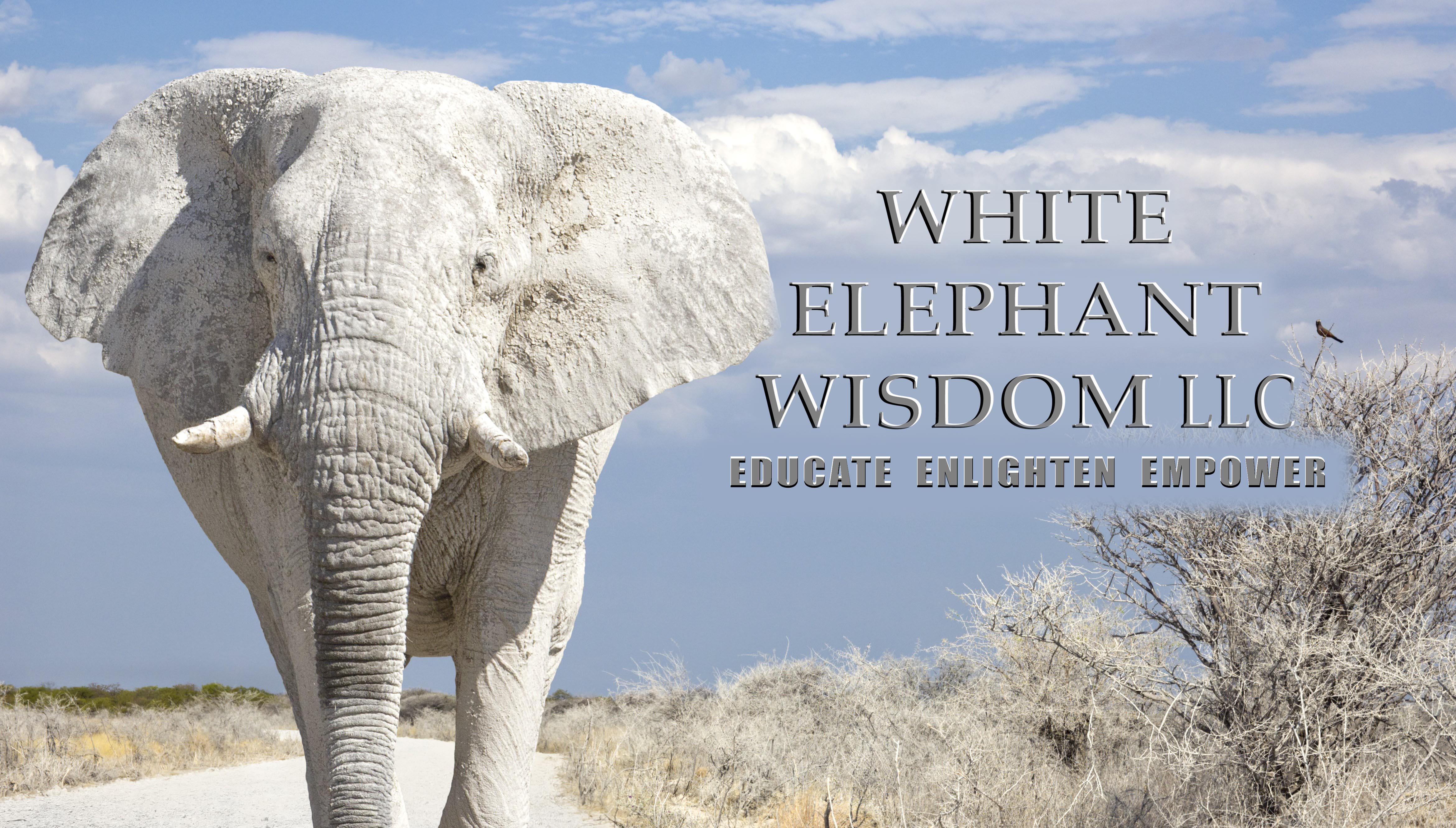 White Elephant Wisdom LLC/Grief Support/Spiritual Workshops/NH ...