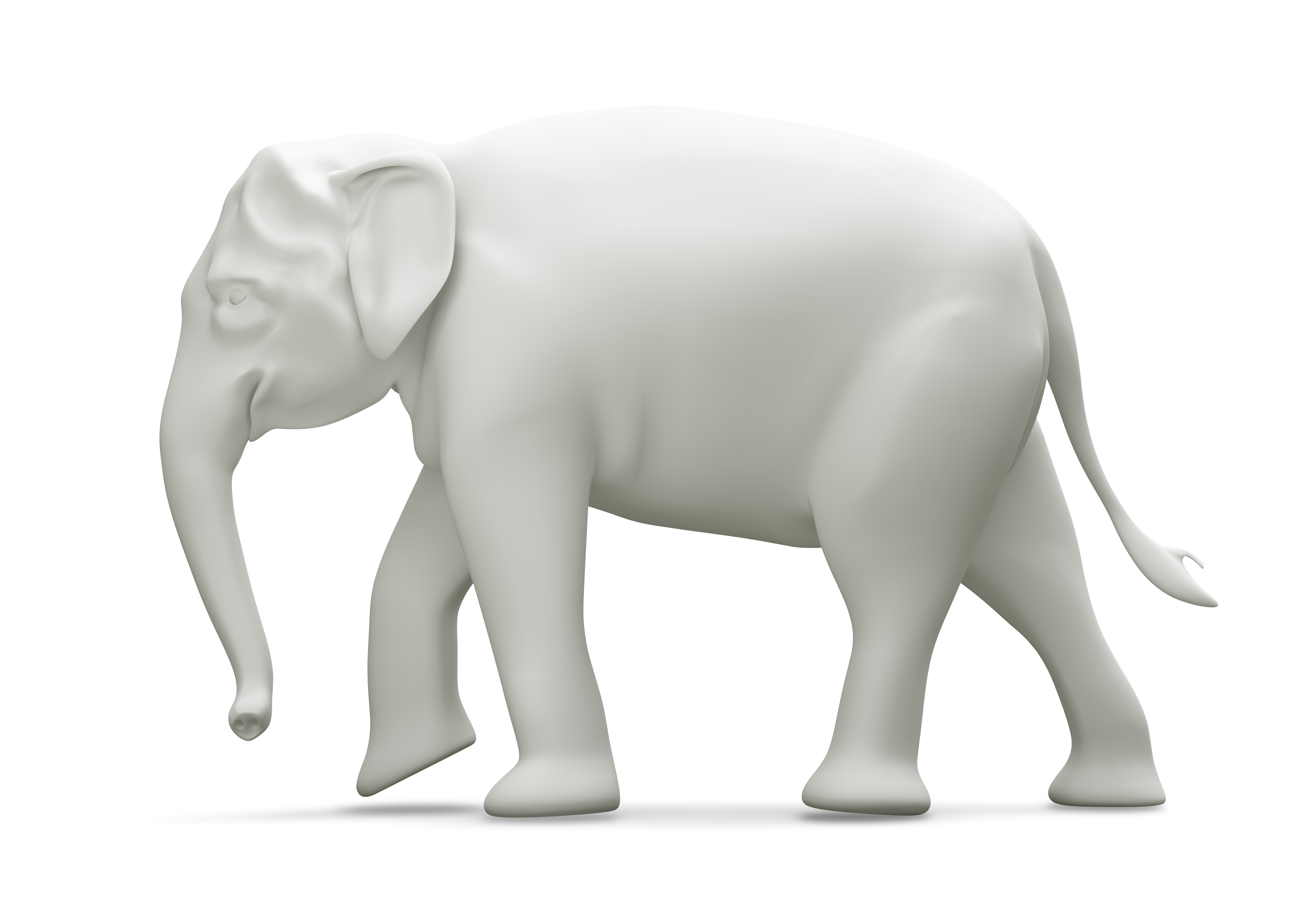 The WHITE elephant in the room – DIVERSITY MATTERS