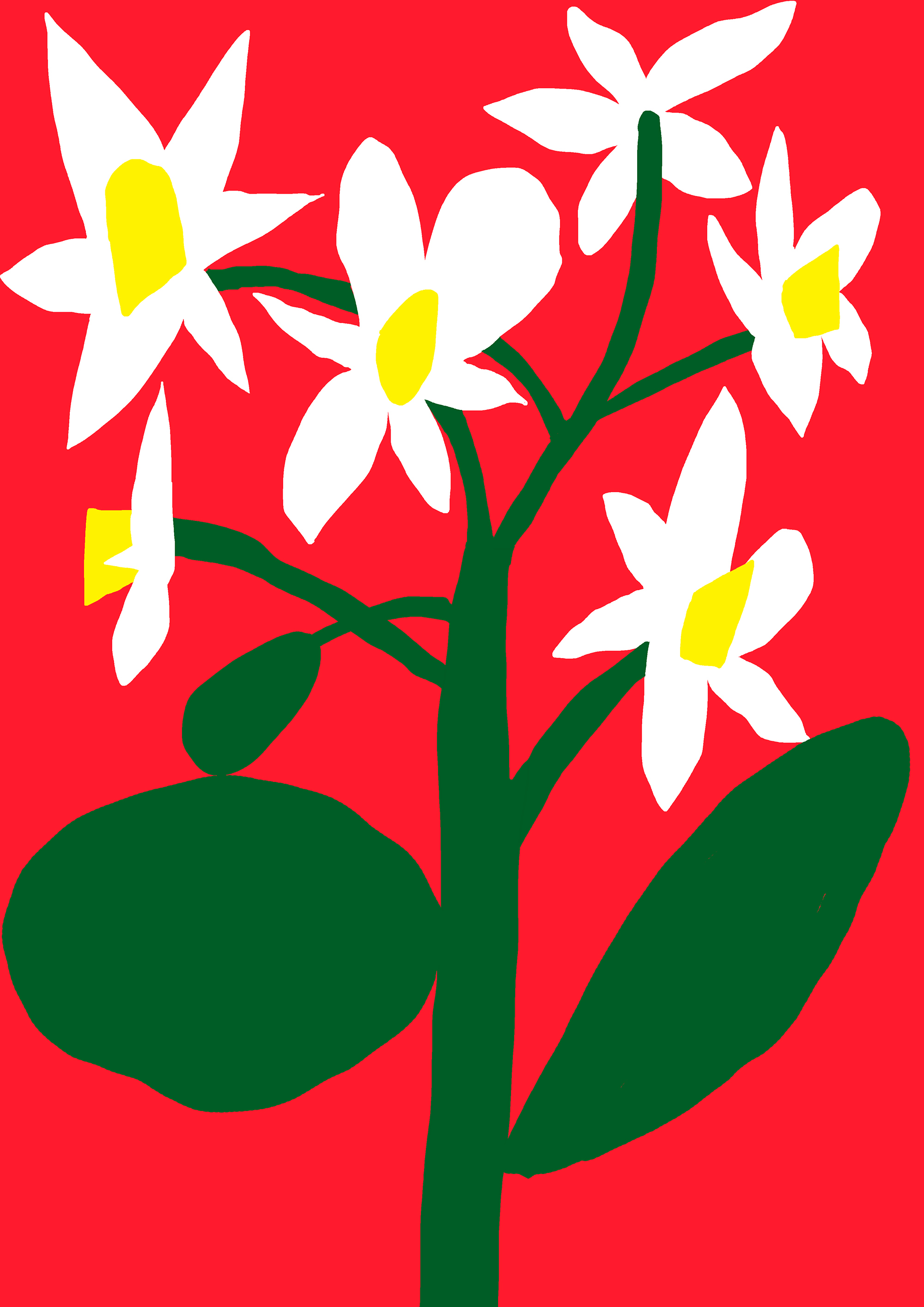 White Flower on Red Background by Antti Kalevi | Agent Pekka