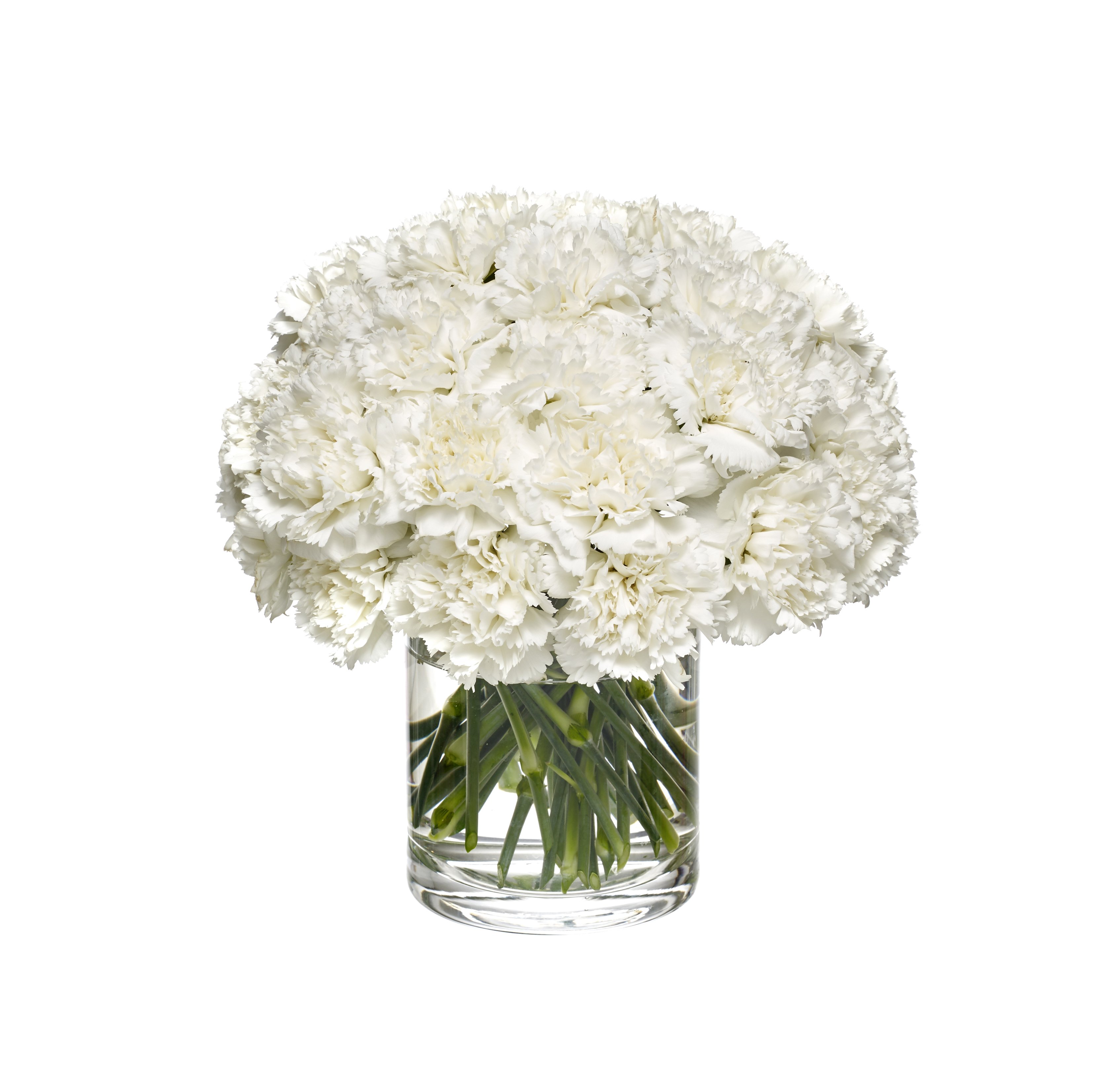 Modern White Flower Vase - The Floral Atelier | The Floral Atelier