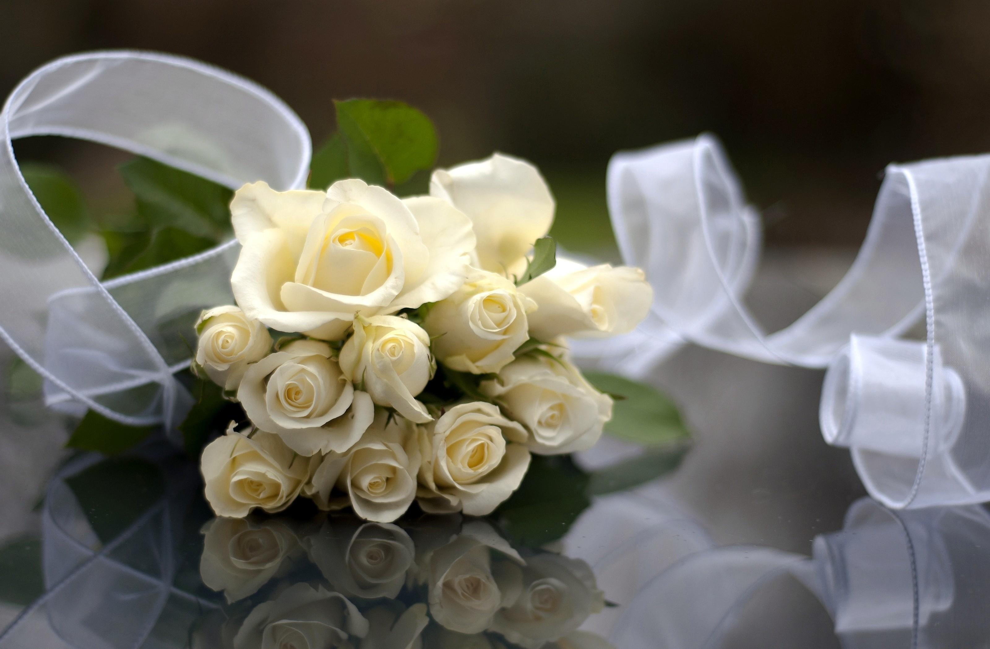 Rose White Flowers Bouquet Ribbon Reflection - HD Wallpapers and Picture
