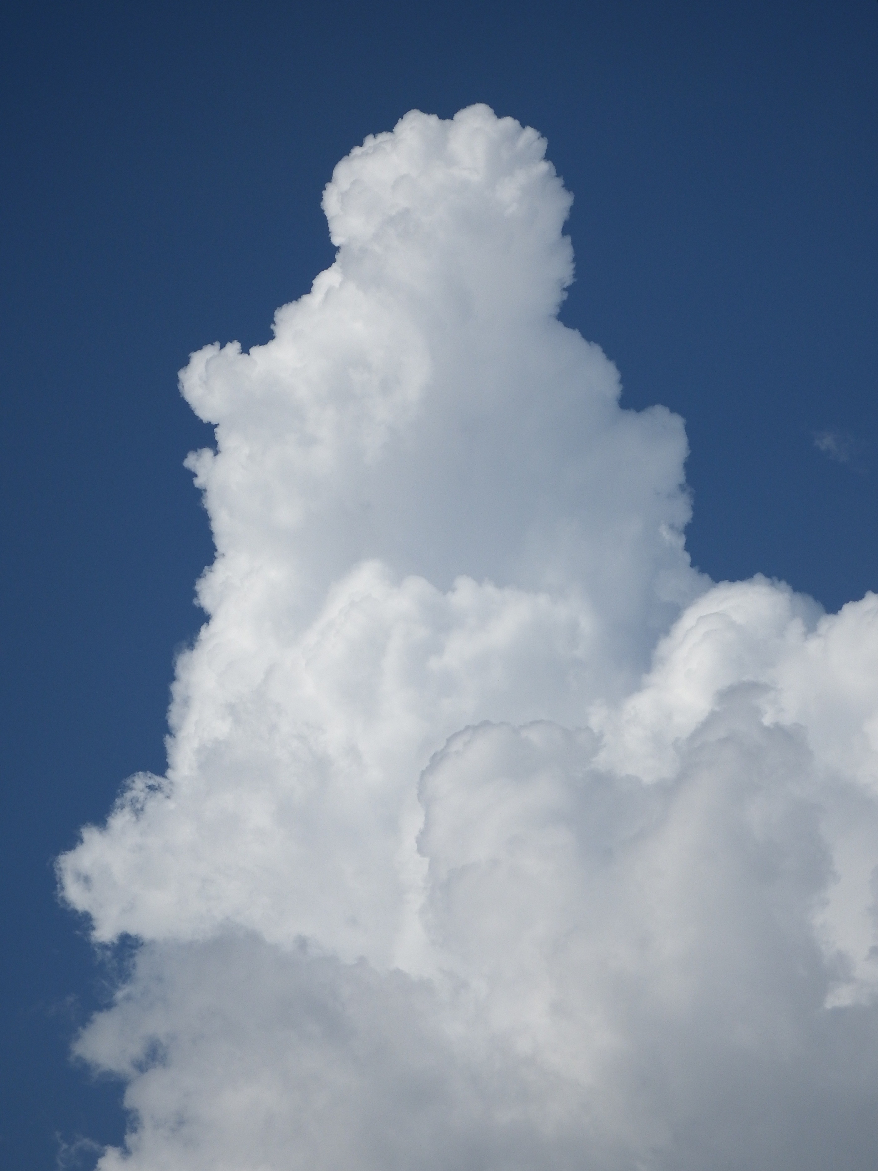Free Photo White Fluffy Cloud Blue Cloud Clouds Free Download
