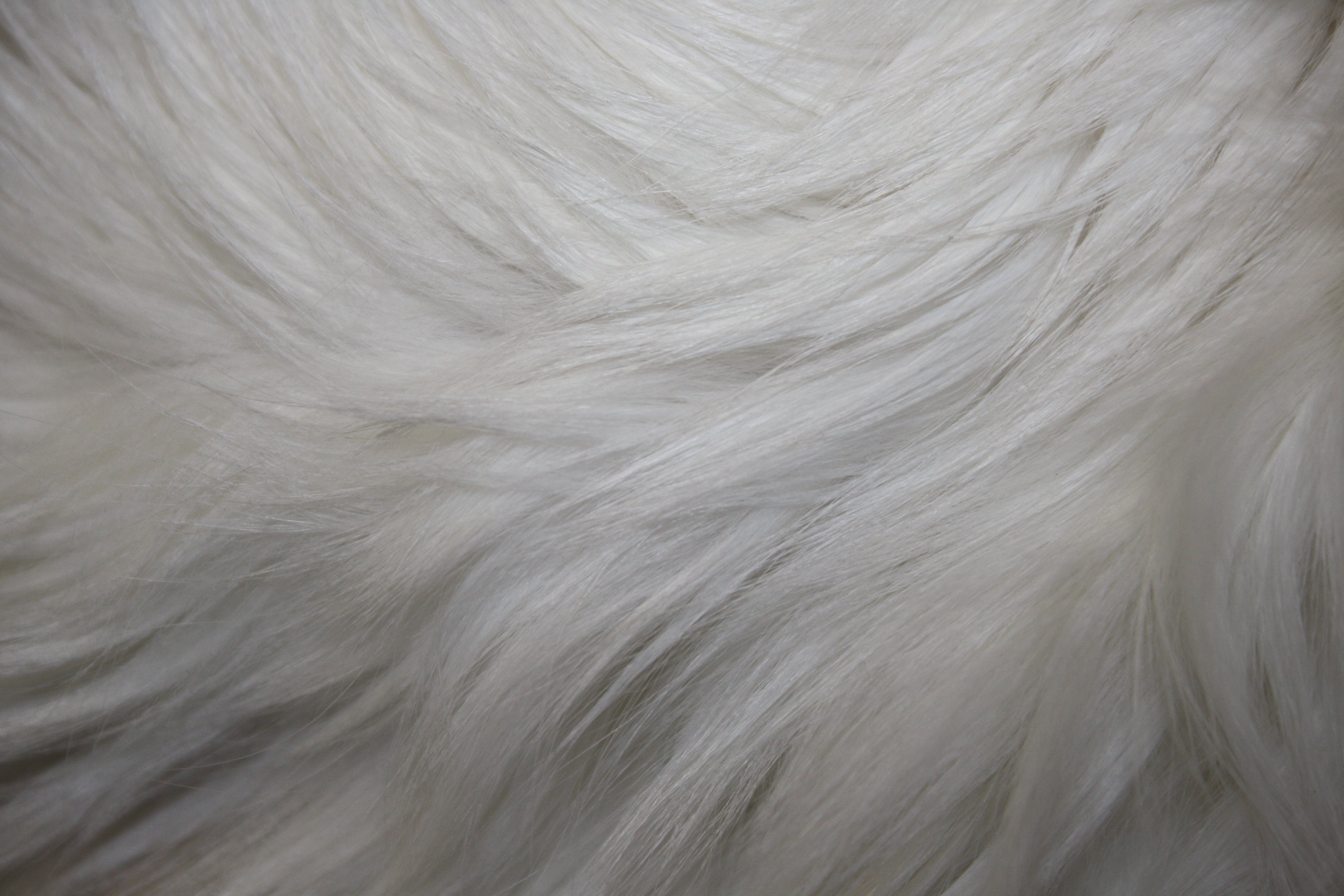 White Fur Texture Picture | Free Photograph | Photos Public Domain