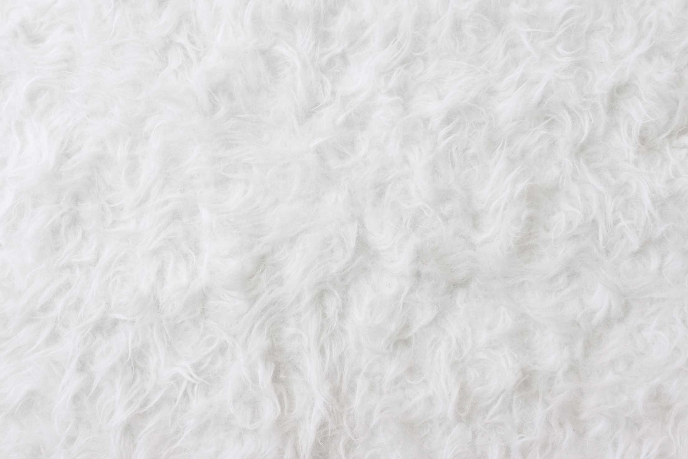 White Fur Texture, As Background Stock Photo By ©belchonock 23110434