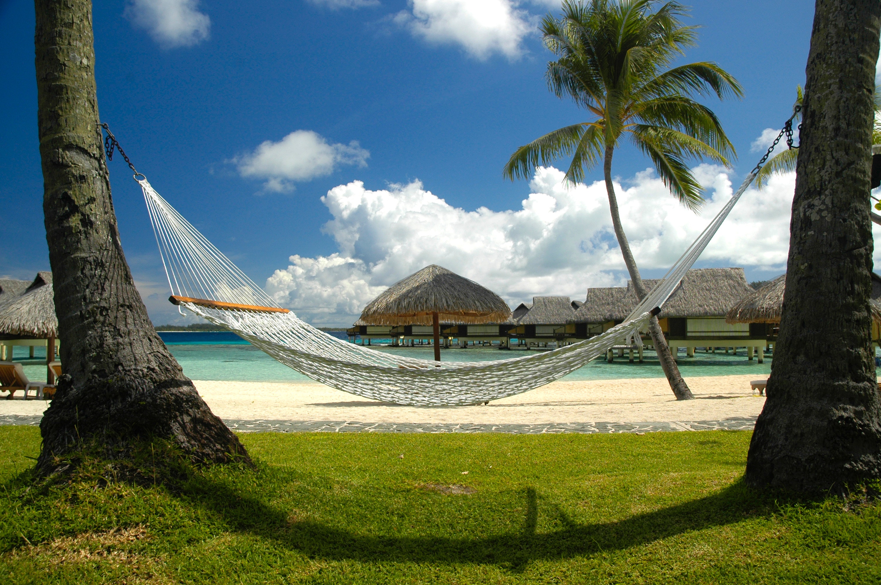 White hammock on the beach photo