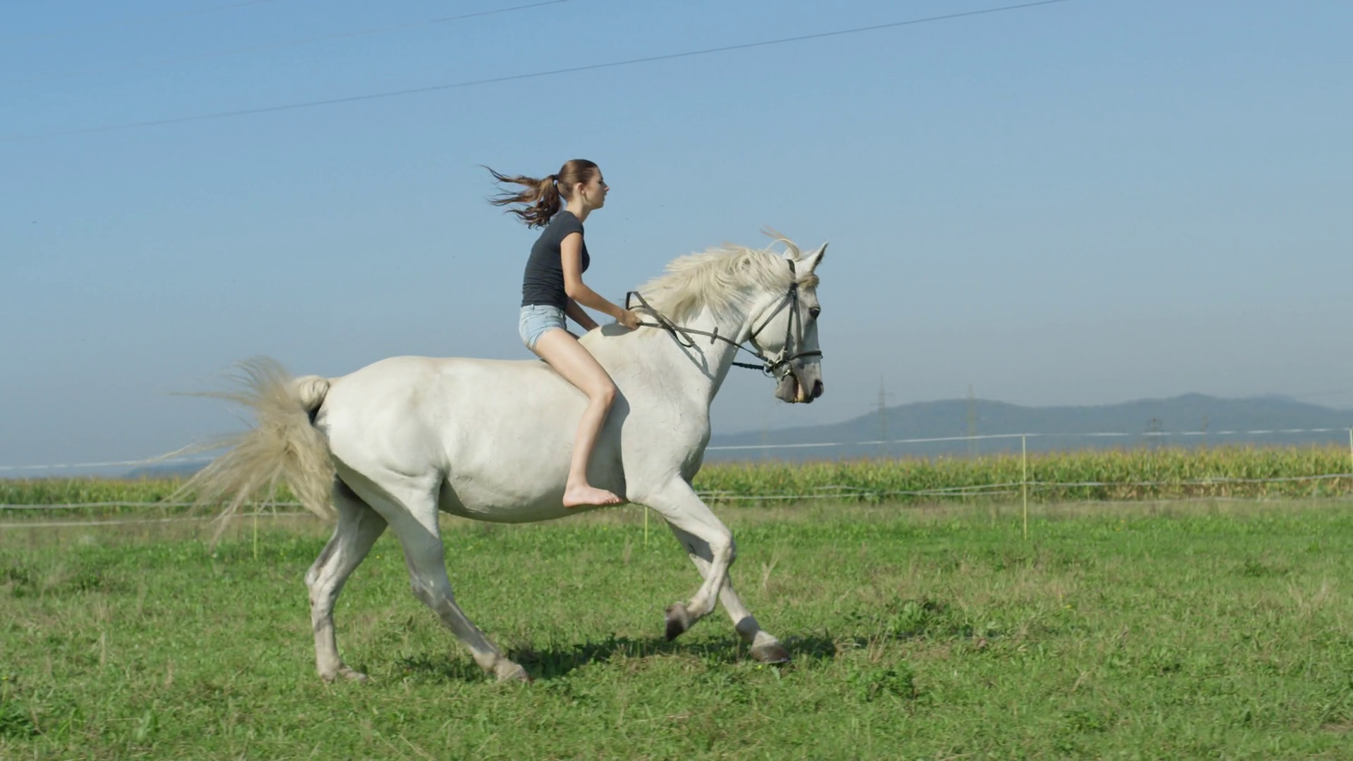 SLOW MOTION: Girl on beautiful white horse cantering bareback on ...