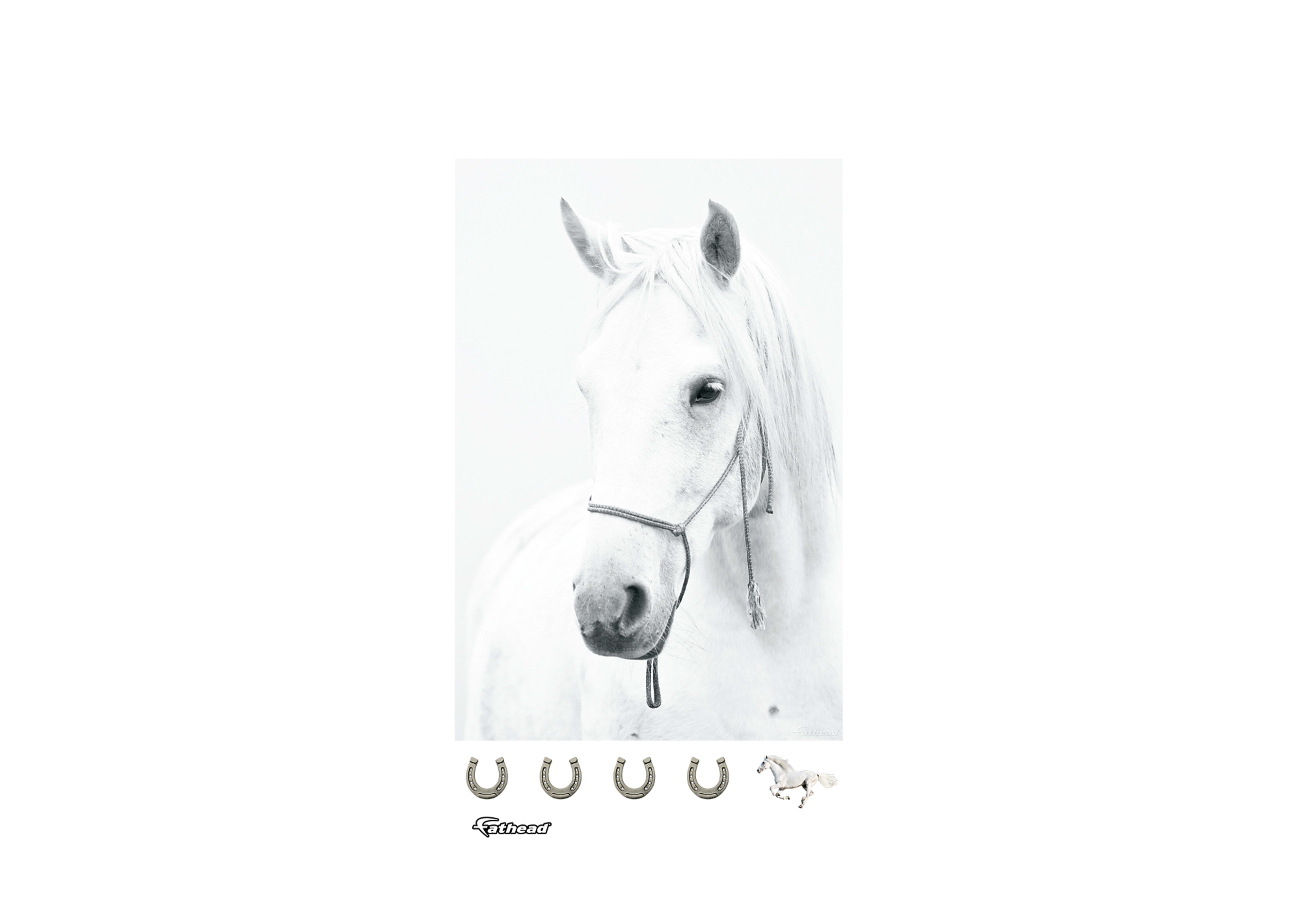 White Horse Mural Wall Decal | Shop Fathead® for General Animal ...