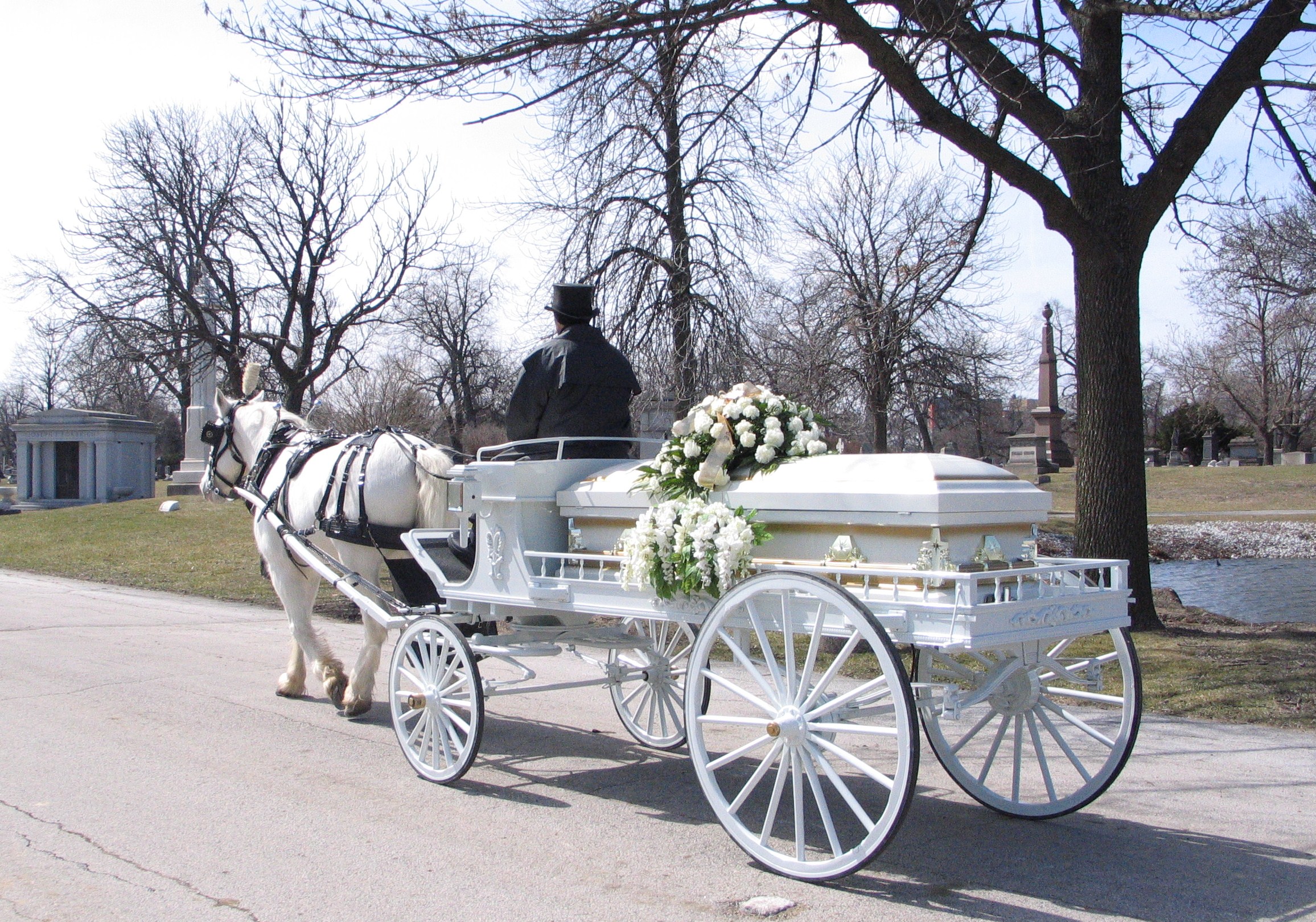Horse and Carriage, Hearse, Funeral Horse Carriage I Chicago, IL