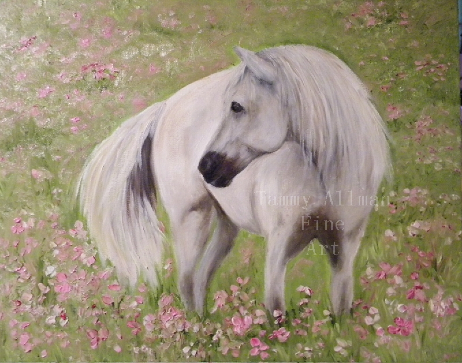 Beautiful White Horse Painting, Original Oil Horse Painting ...