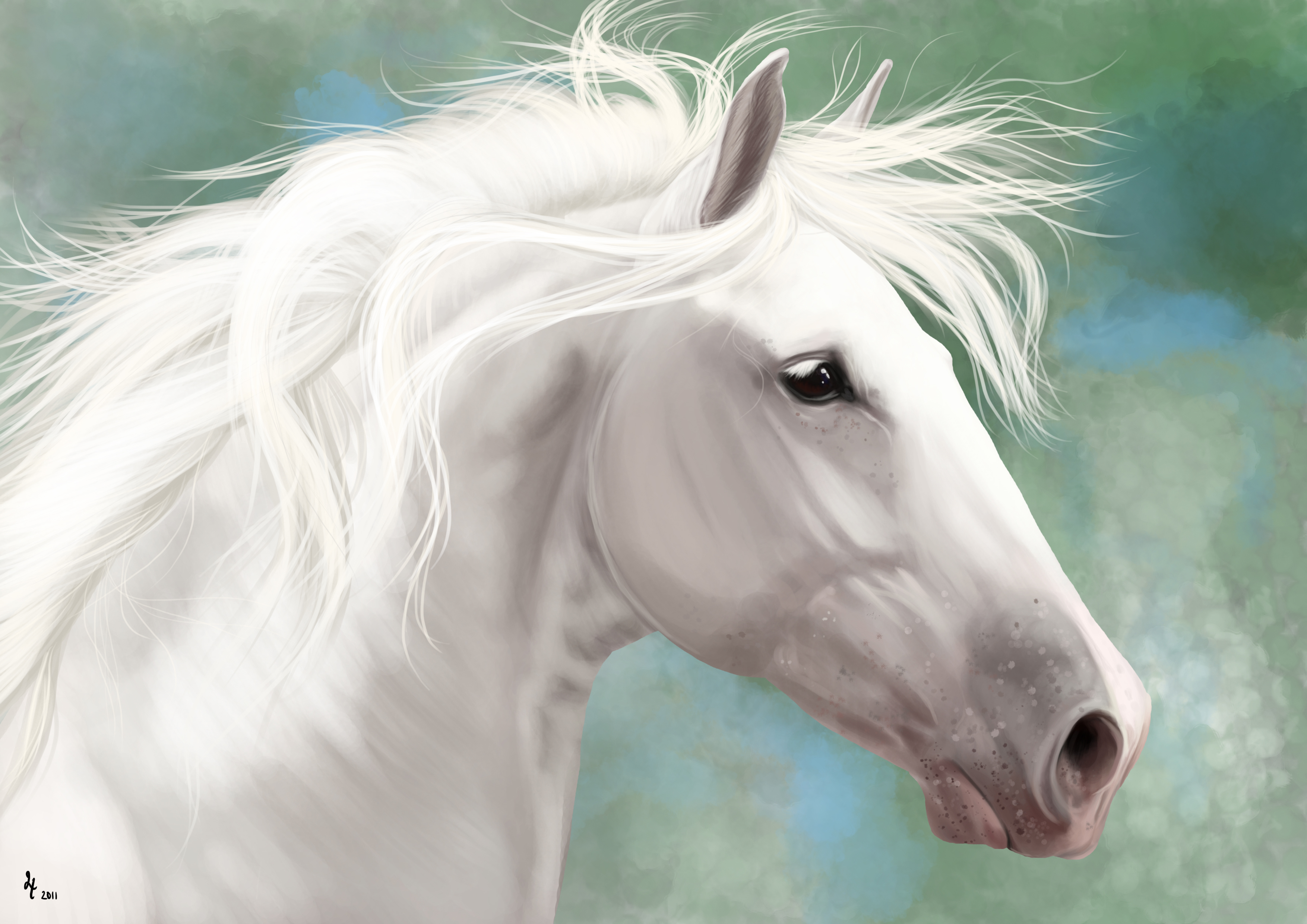 White Horse by Avorage on DeviantArt