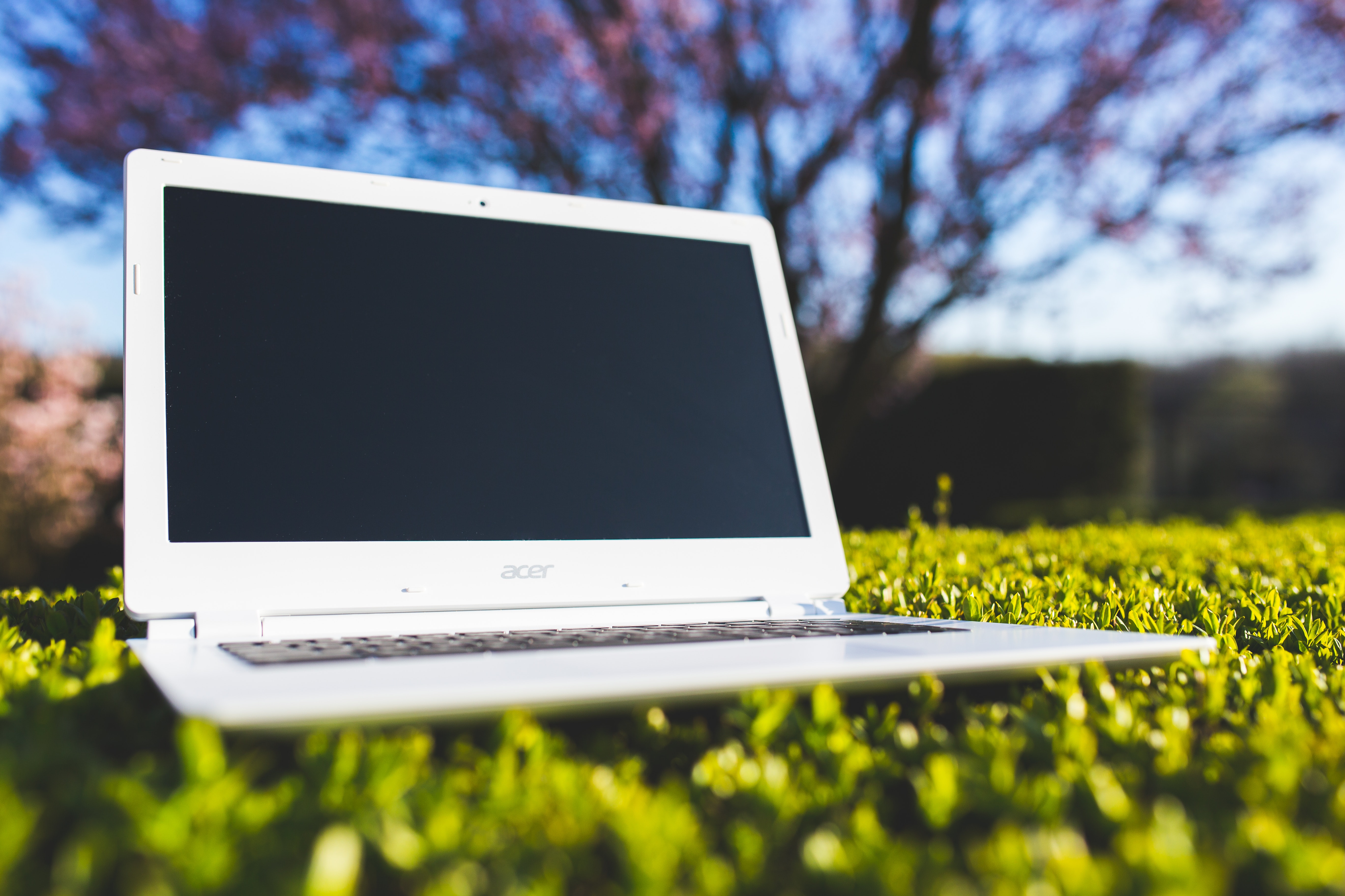 White laptop on a green meadow photo