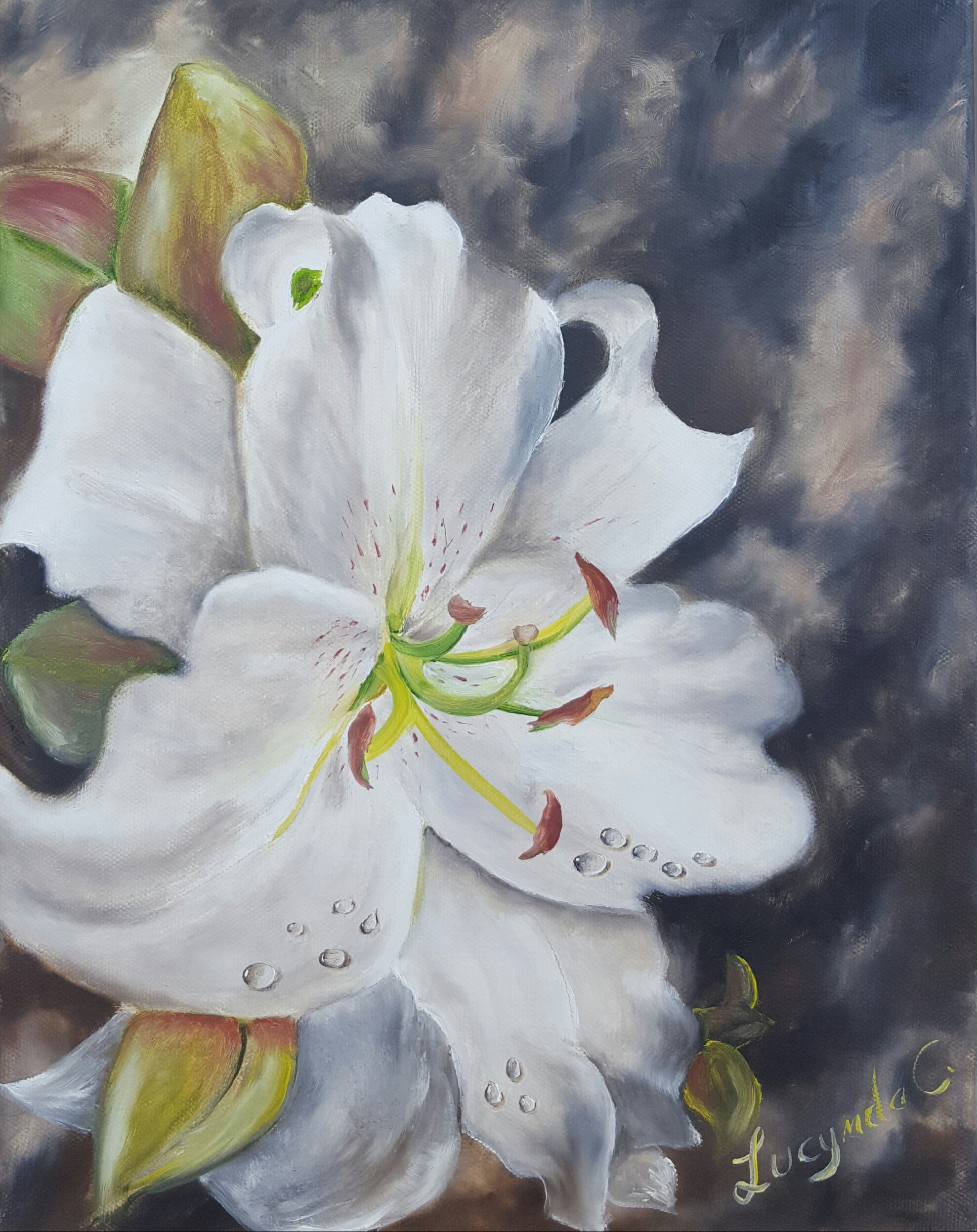 White Lily, Oil 11x14 -