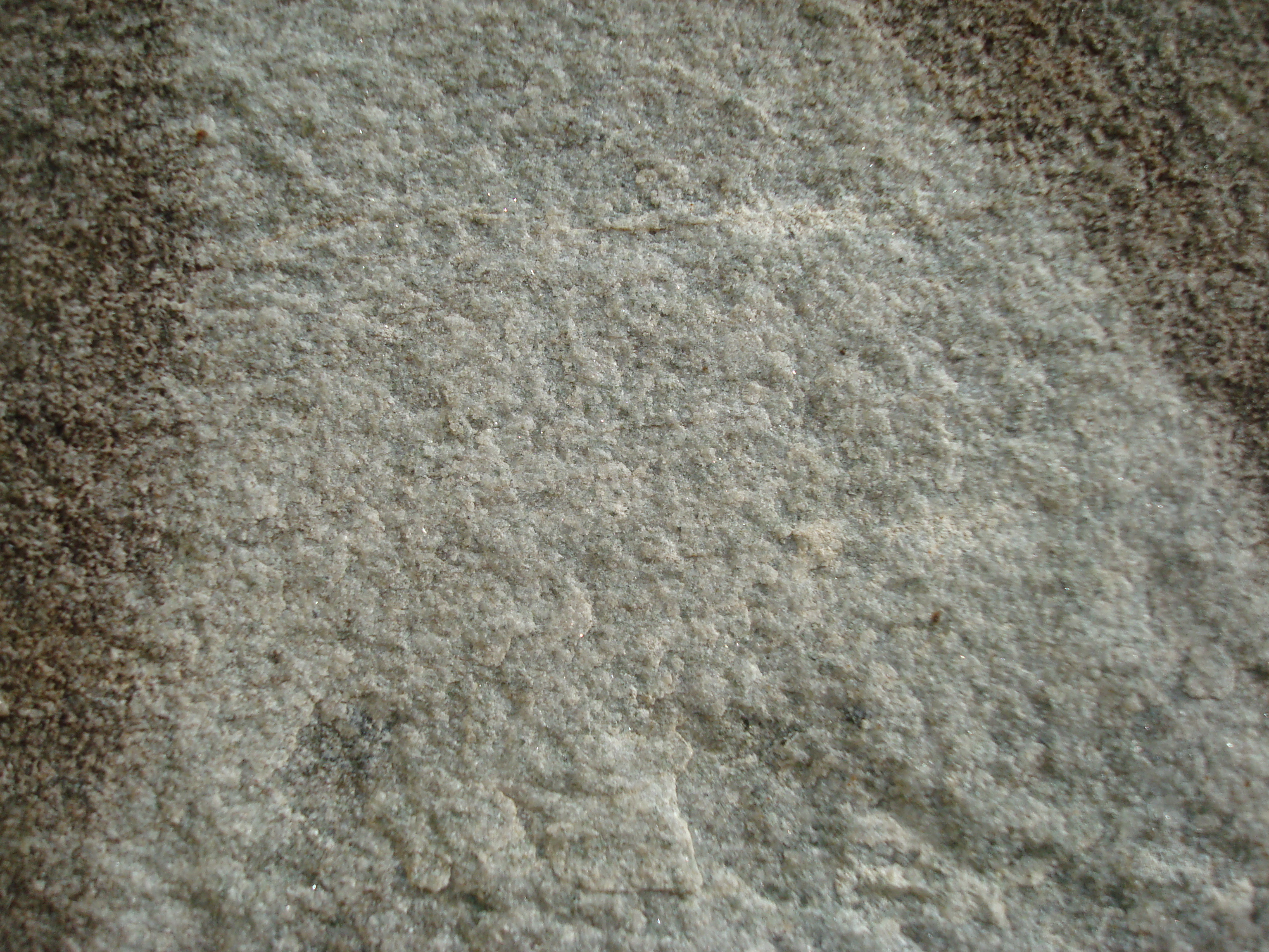 White marble wall texture photo