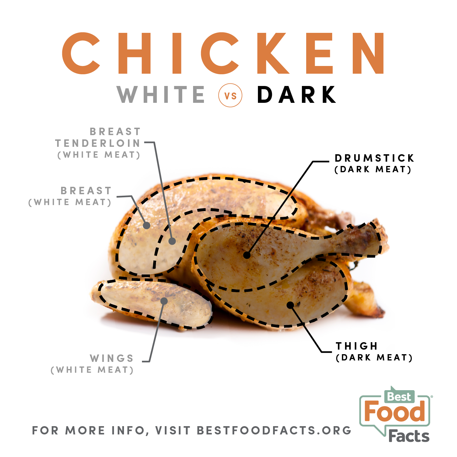 What's the difference between white and dark chicken ...