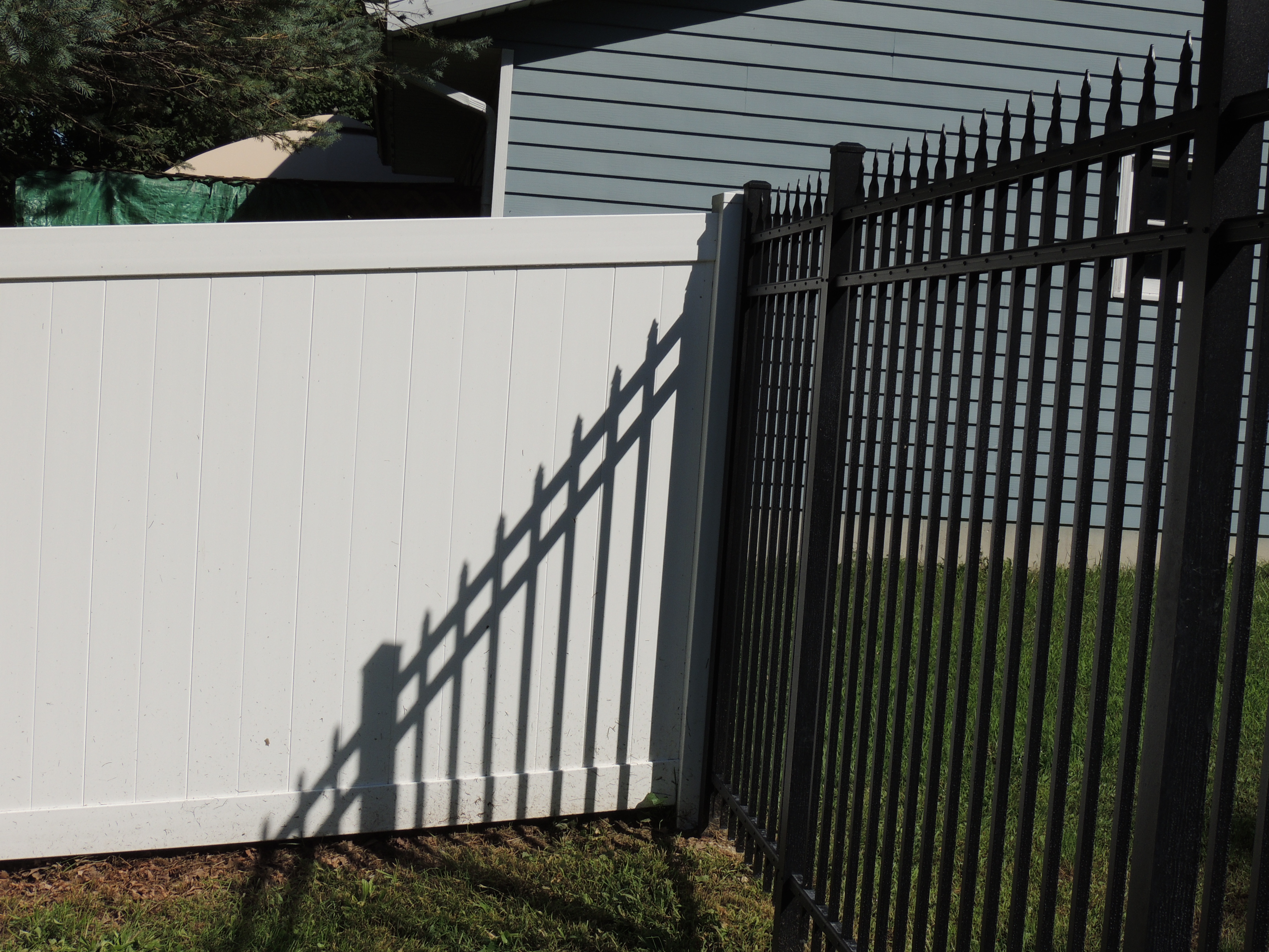 White vinyl privacy fence mixed with 6' high spear top black ...